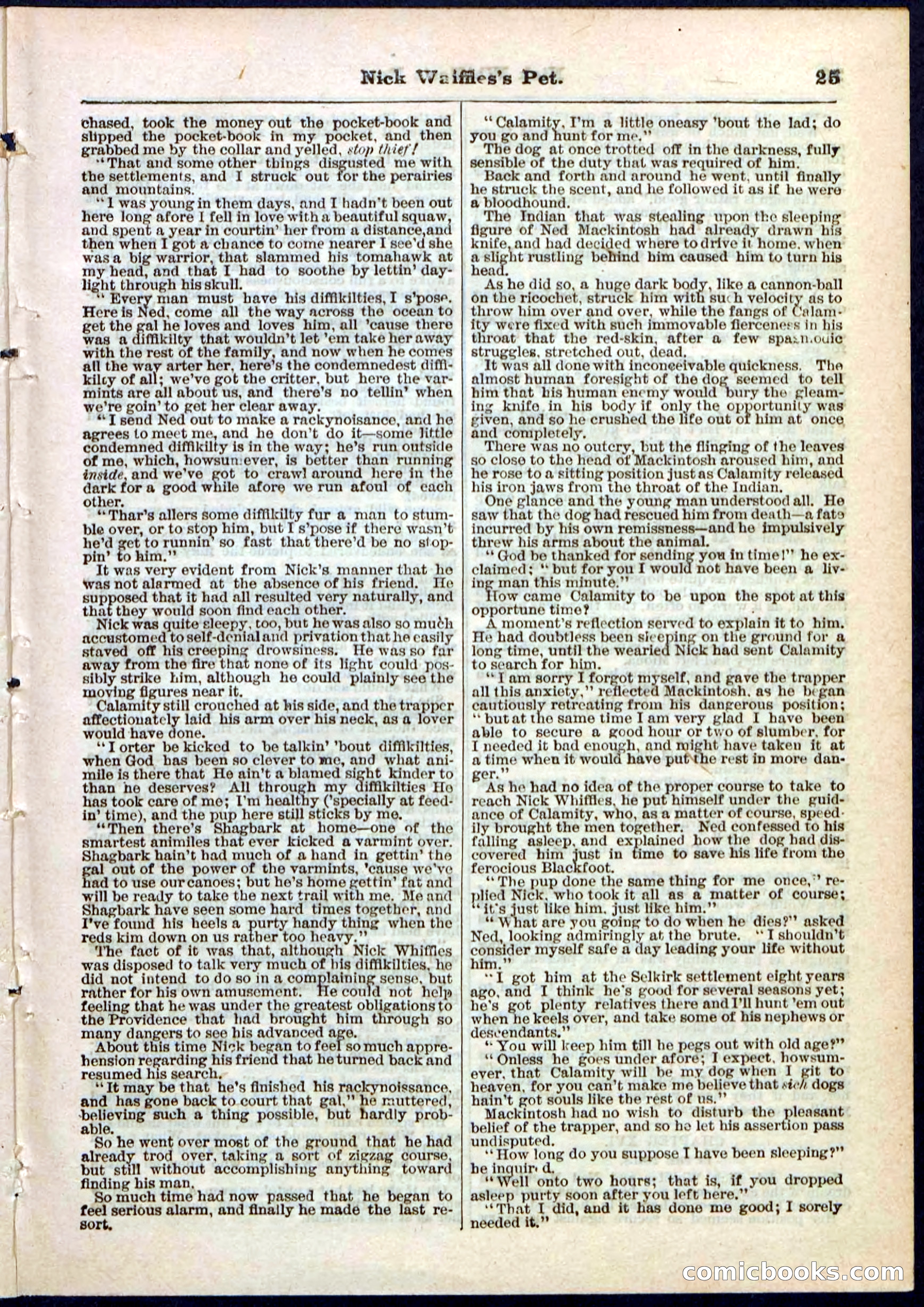 Beadle's Pocket Library, No. 40 — page 25 of 32