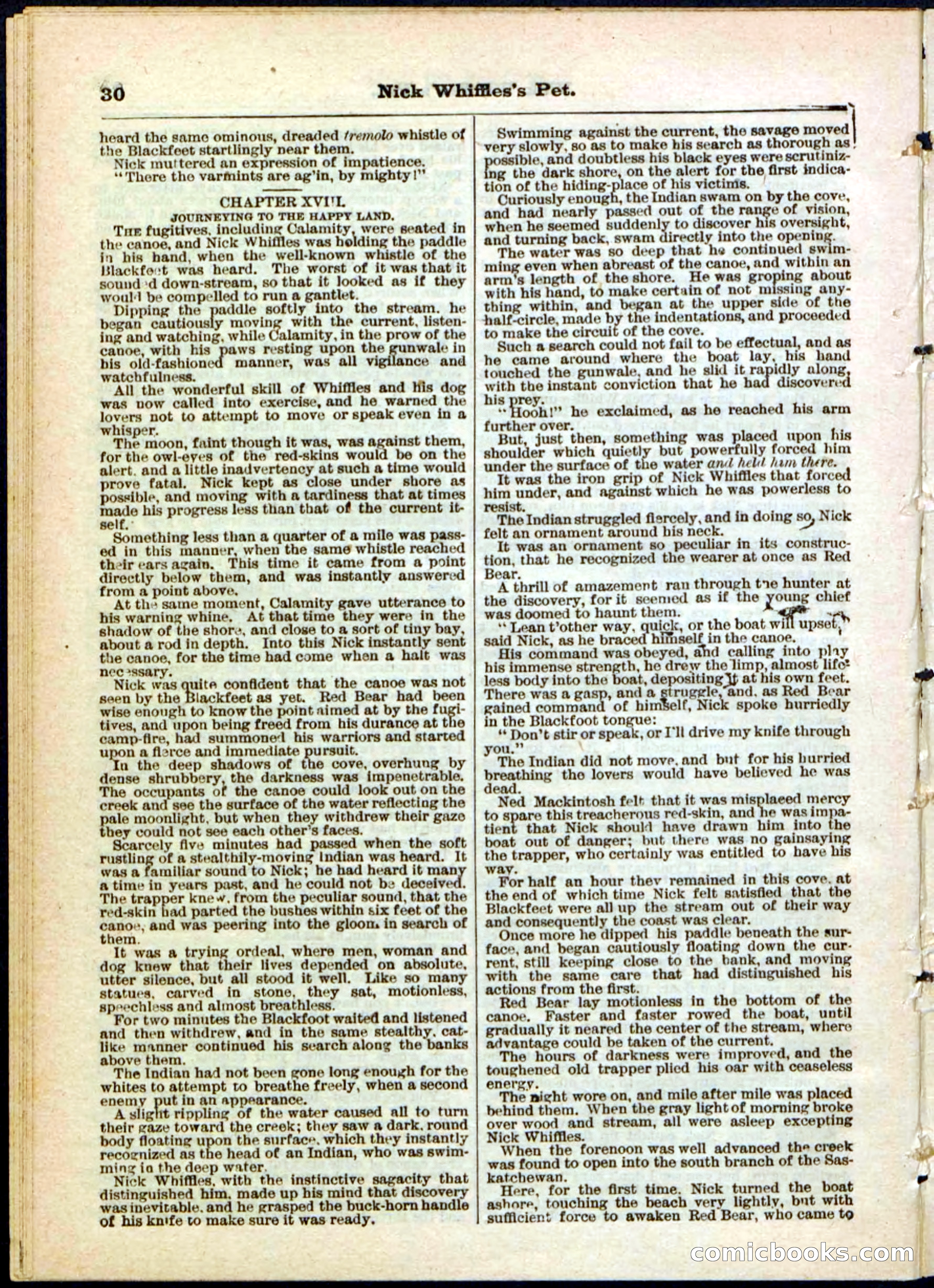 Beadle's Pocket Library, No. 40 — page 30 of 32