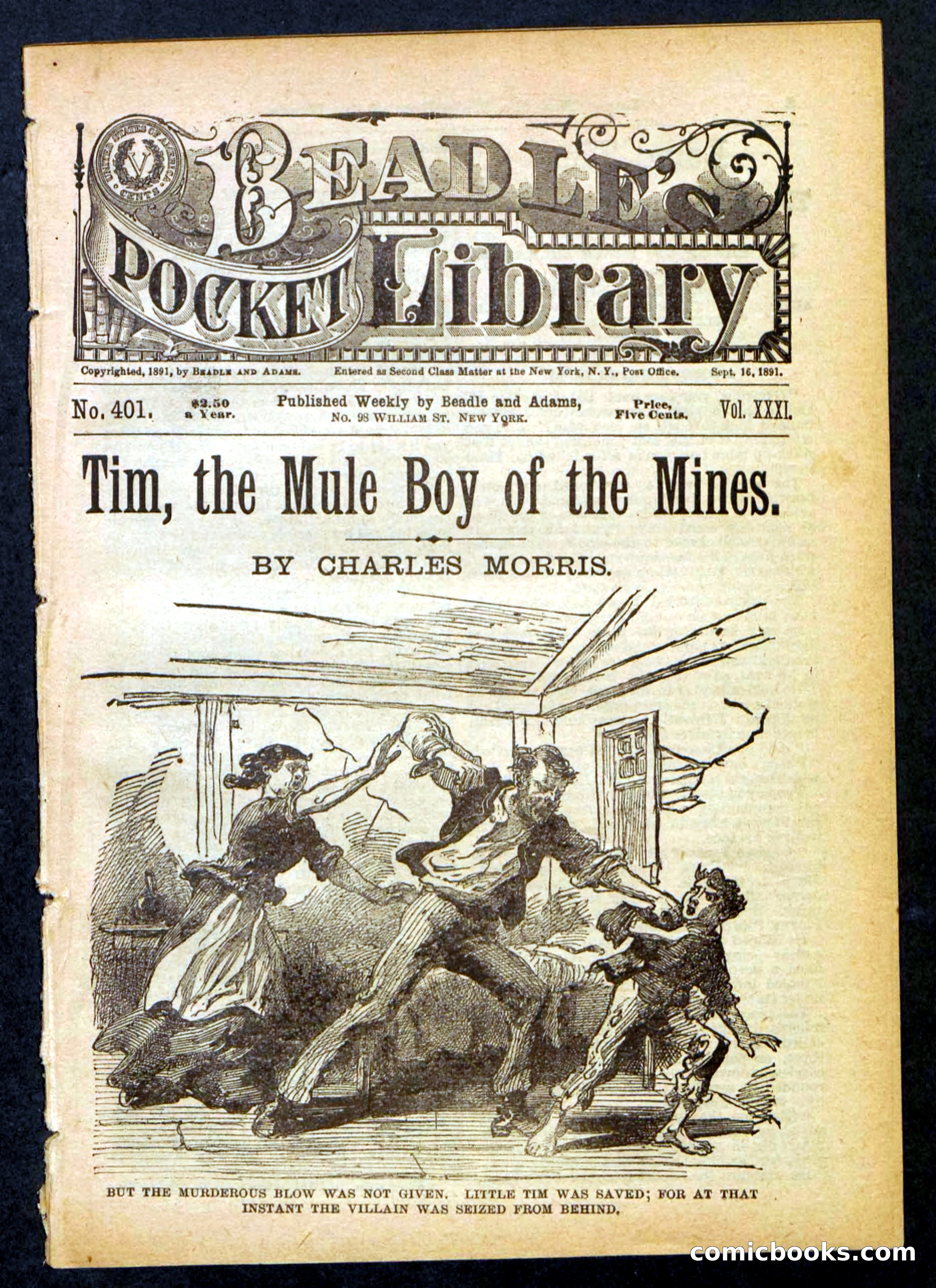Beadle's Pocket Library No. 401 — page 1 of 32