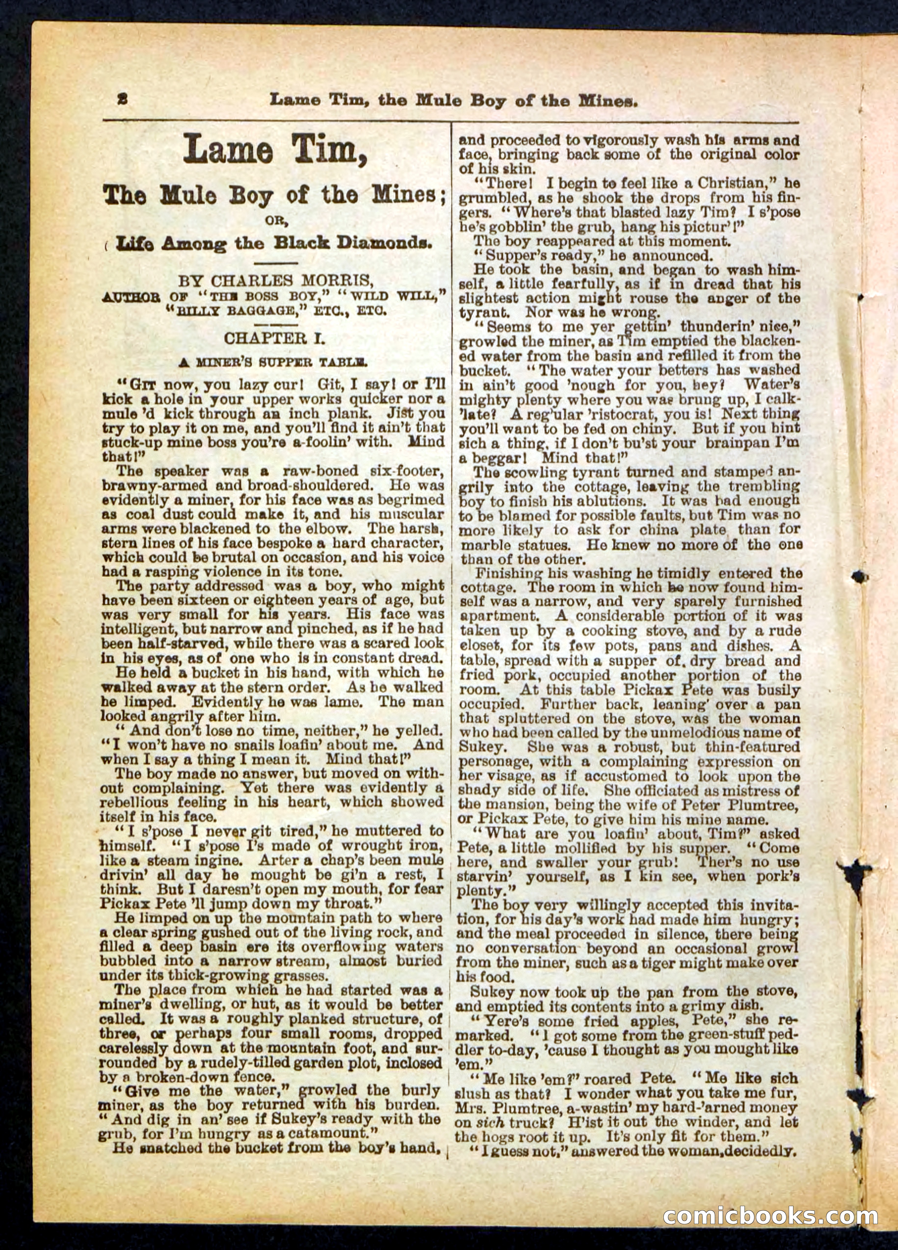 Beadle's Pocket Library No. 401 — page 2 of 32