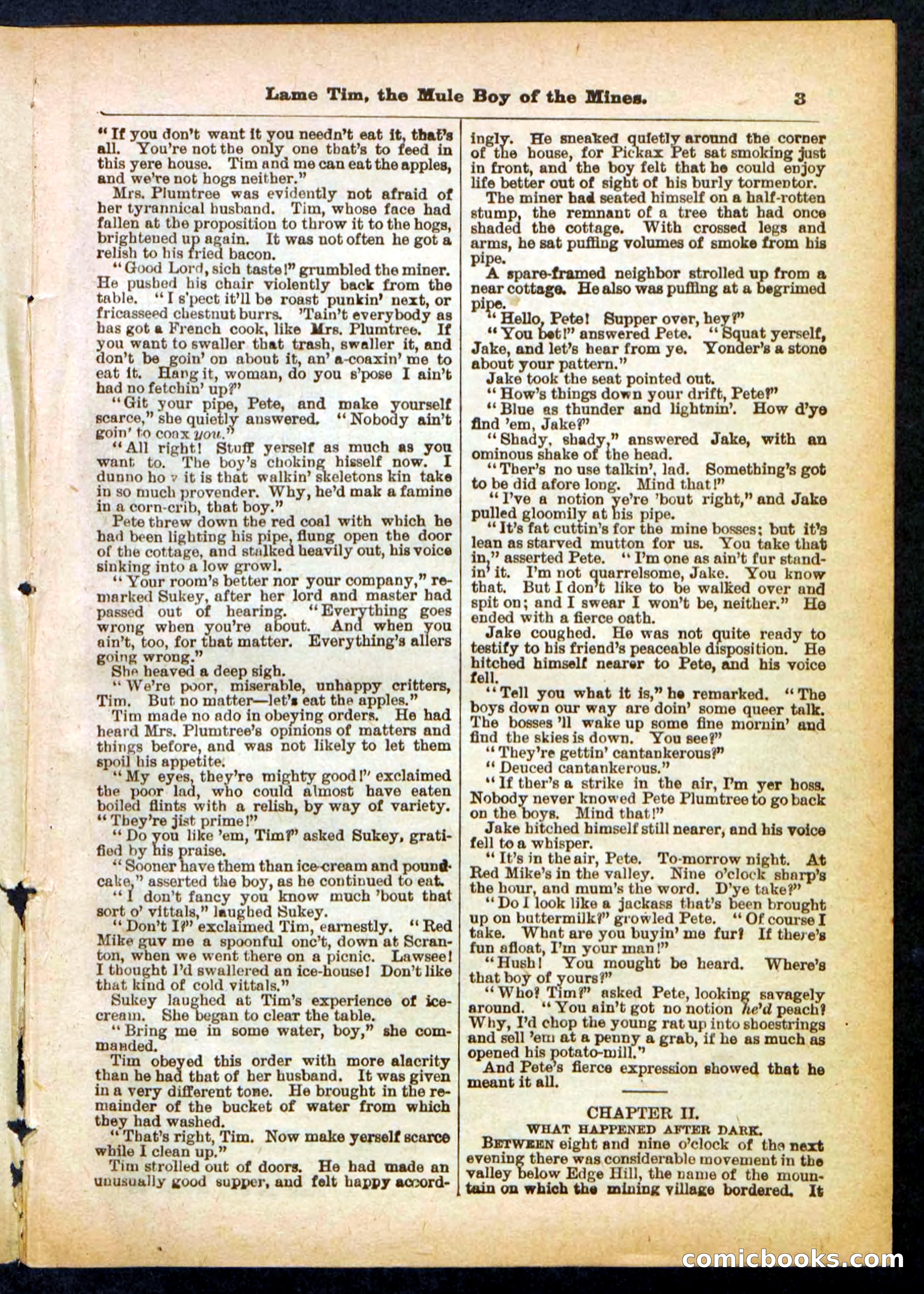 Beadle's Pocket Library No. 401 — page 3 of 32