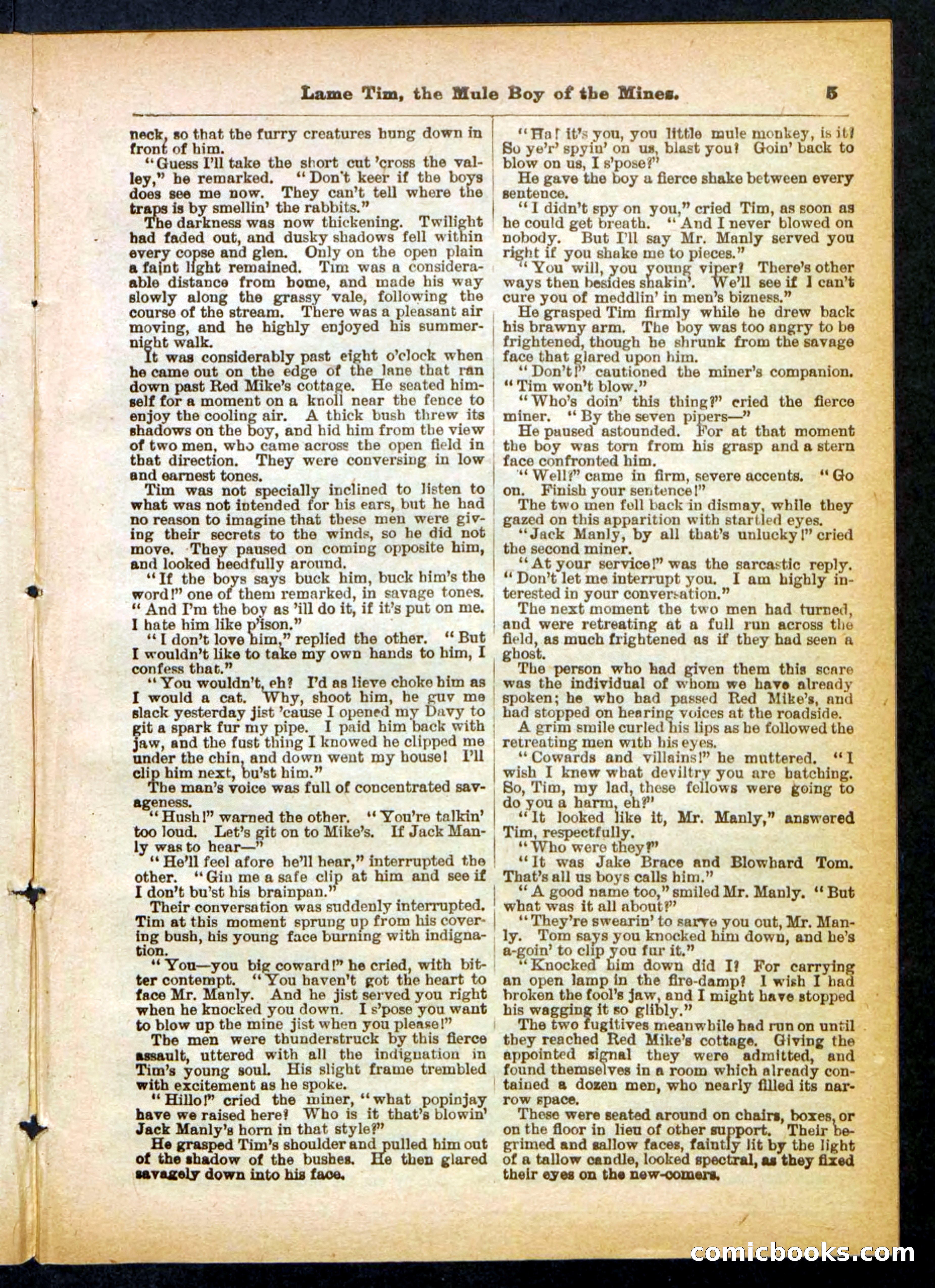 Beadle's Pocket Library No. 401 — page 5 of 32