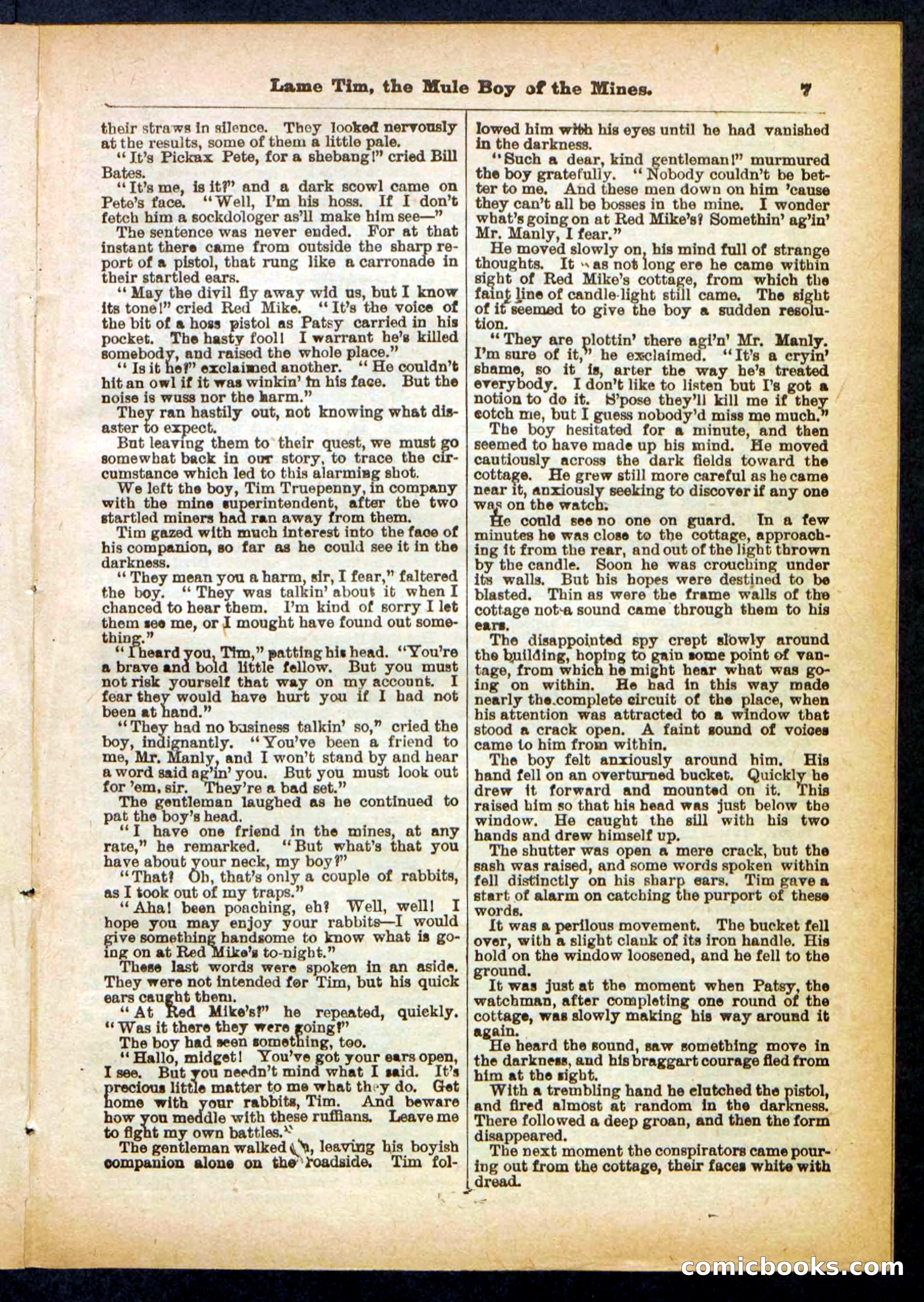 Beadle's Pocket Library No. 401 — page 7 of 32