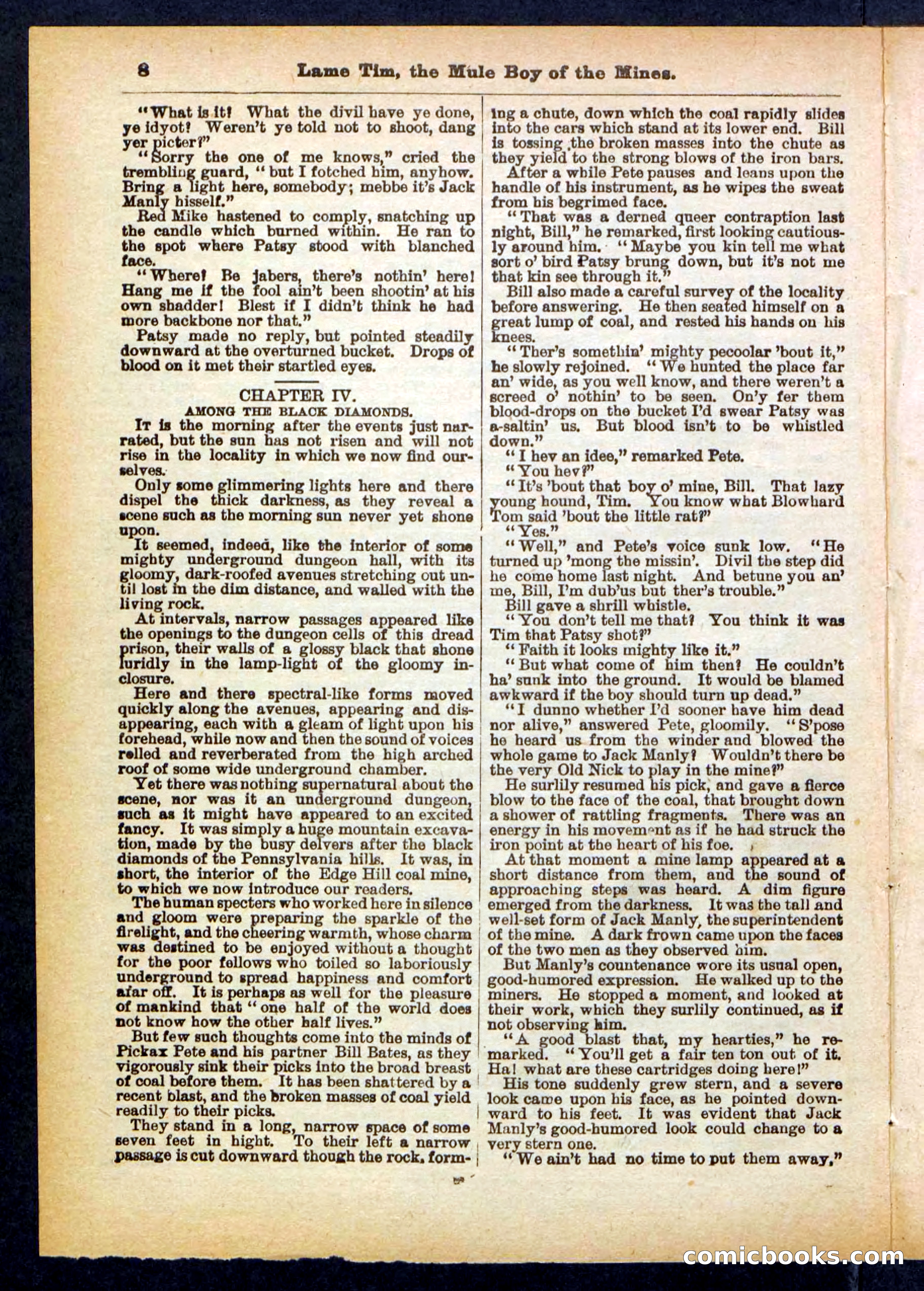 Beadle's Pocket Library No. 401 — page 8 of 32