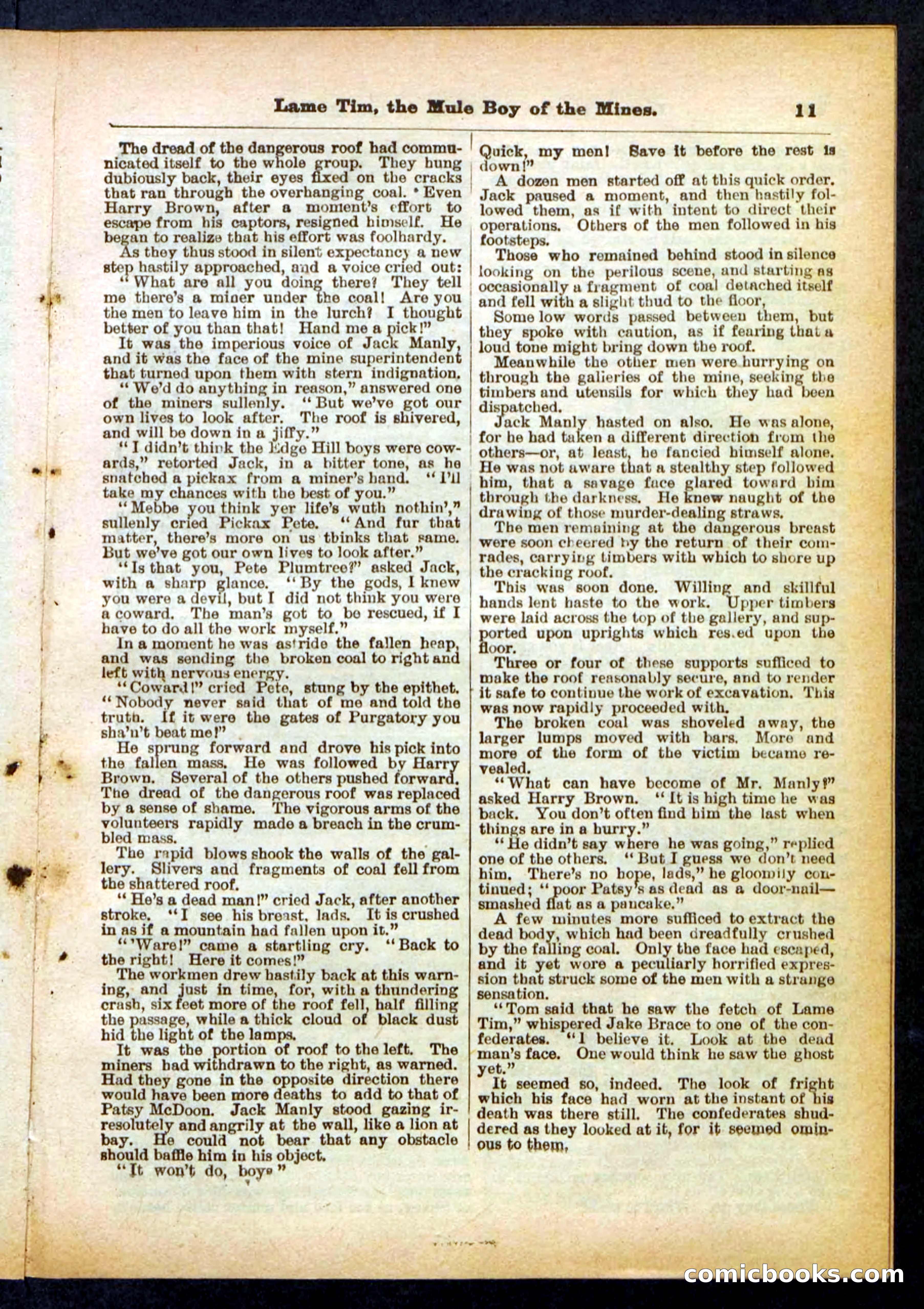 Beadle's Pocket Library No. 401 — page 11 of 32