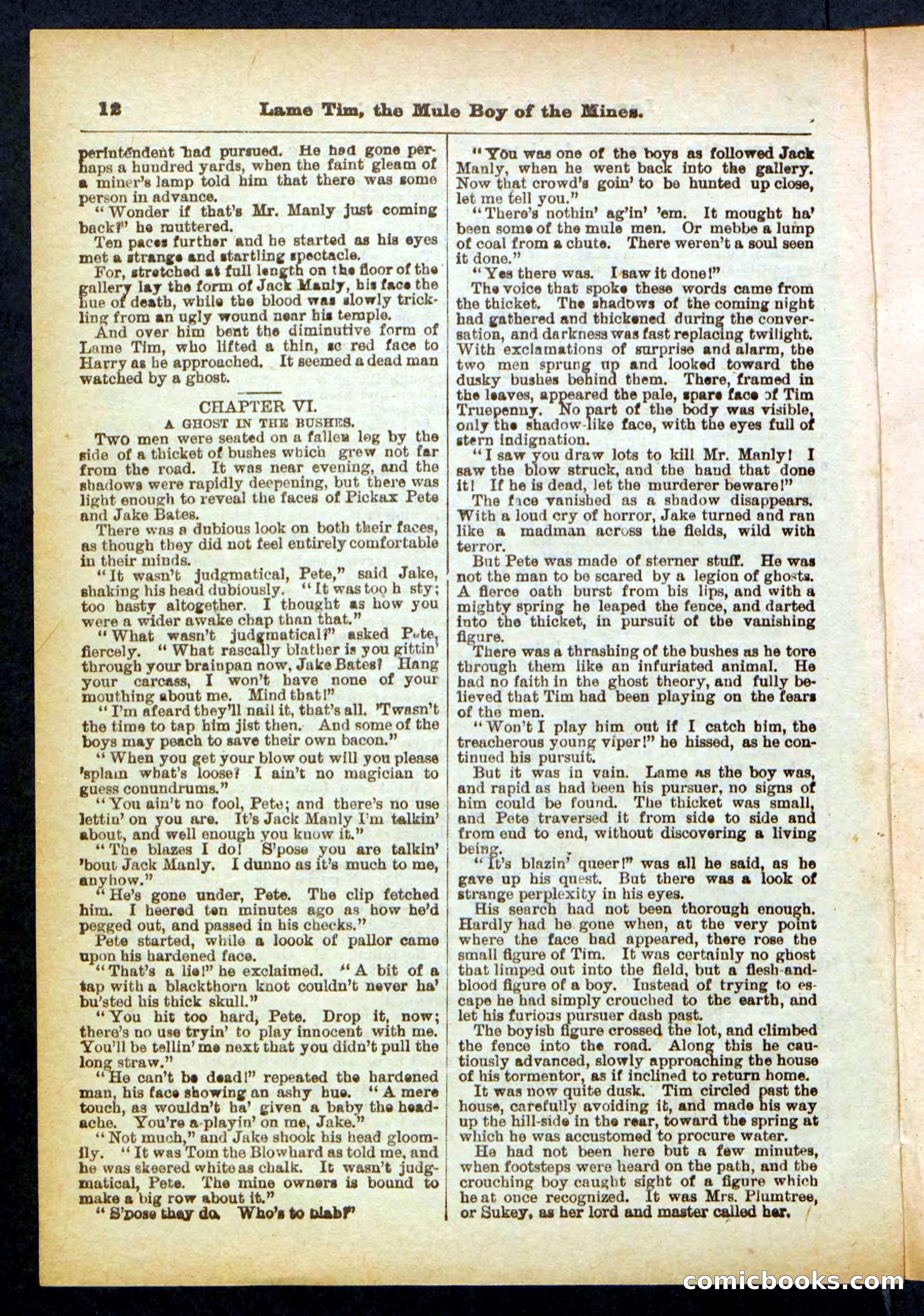 Beadle's Pocket Library No. 401 — page 12 of 32