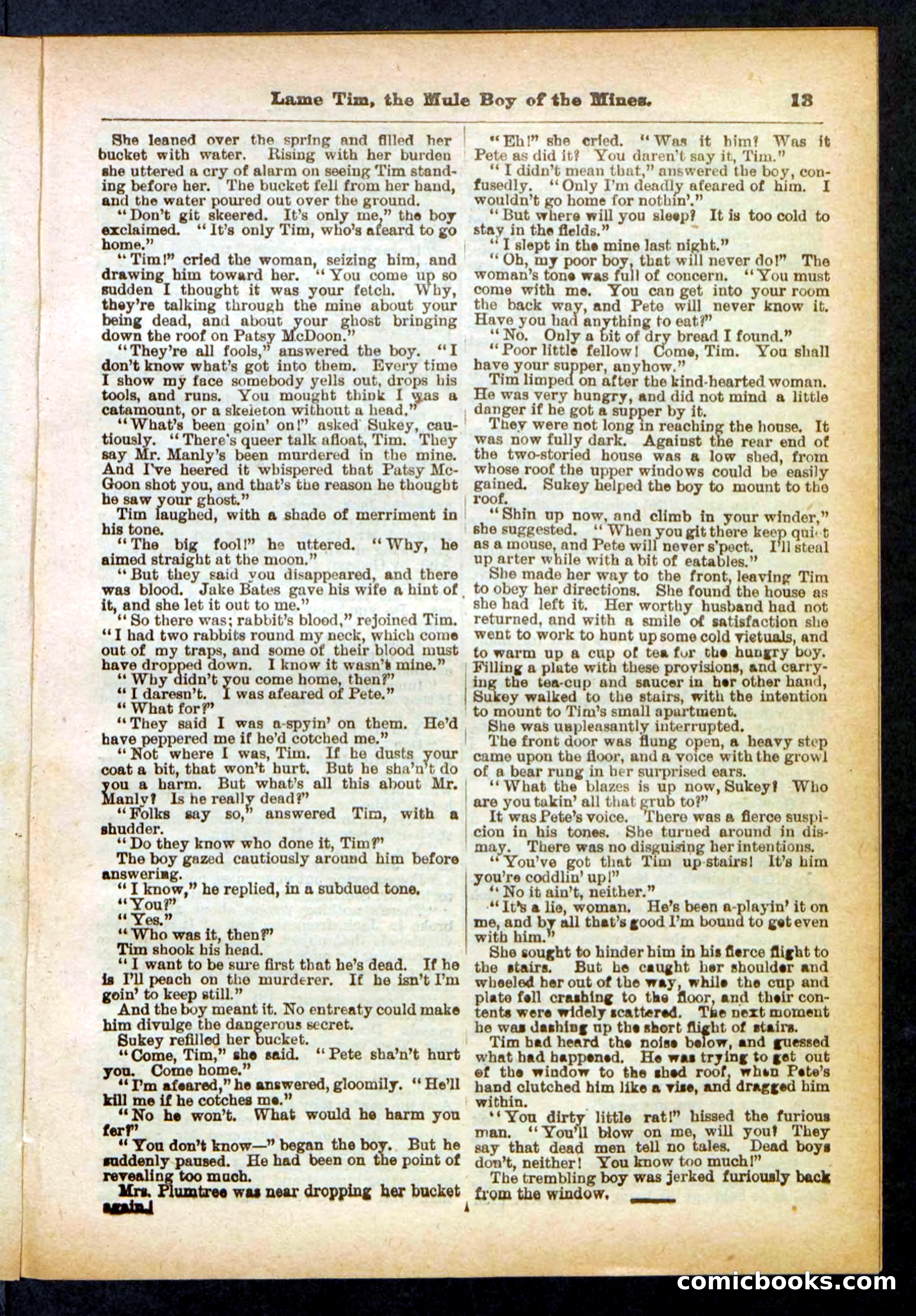 Beadle's Pocket Library No. 401 — page 13 of 32