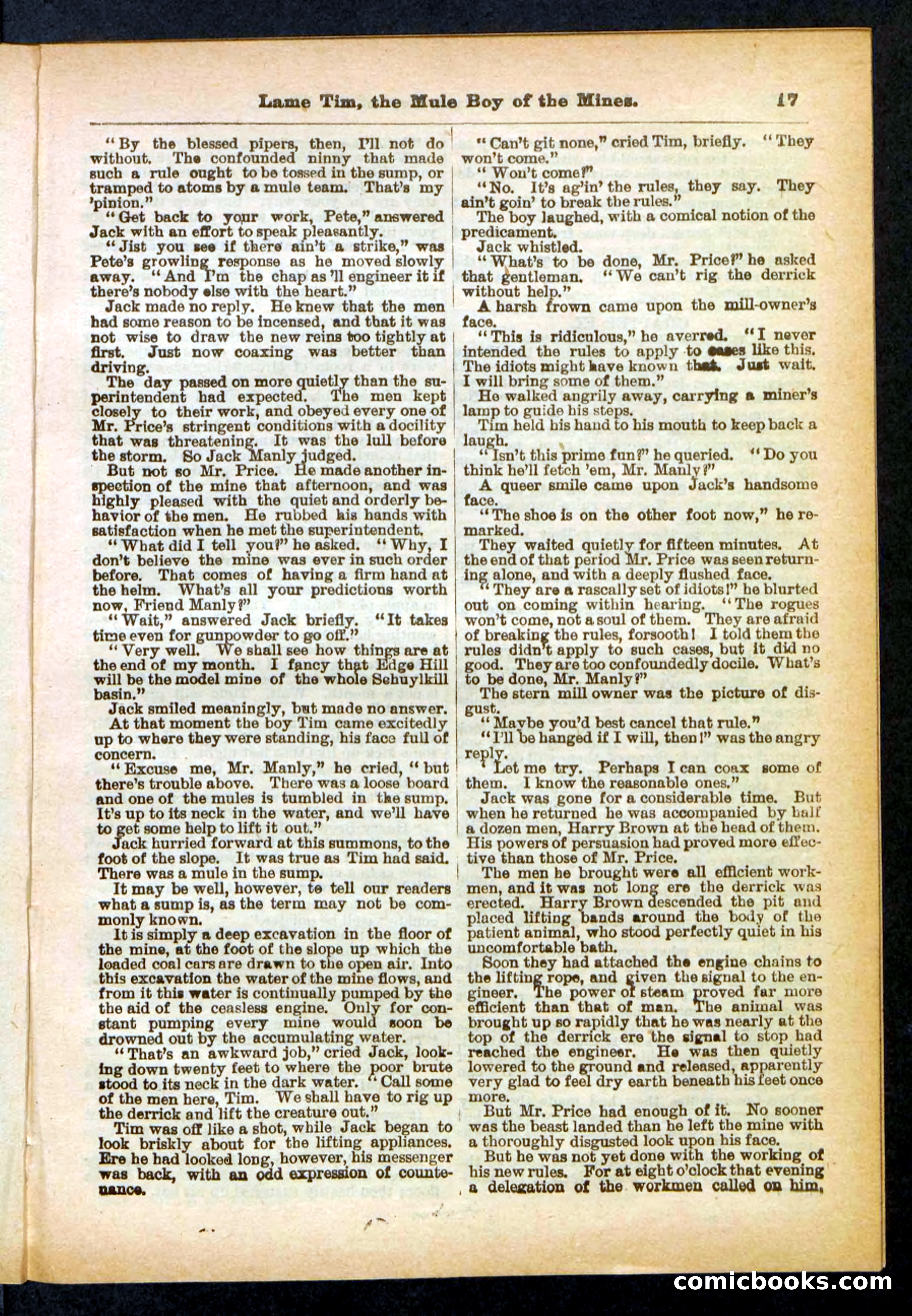 Beadle's Pocket Library No. 401 — page 17 of 32