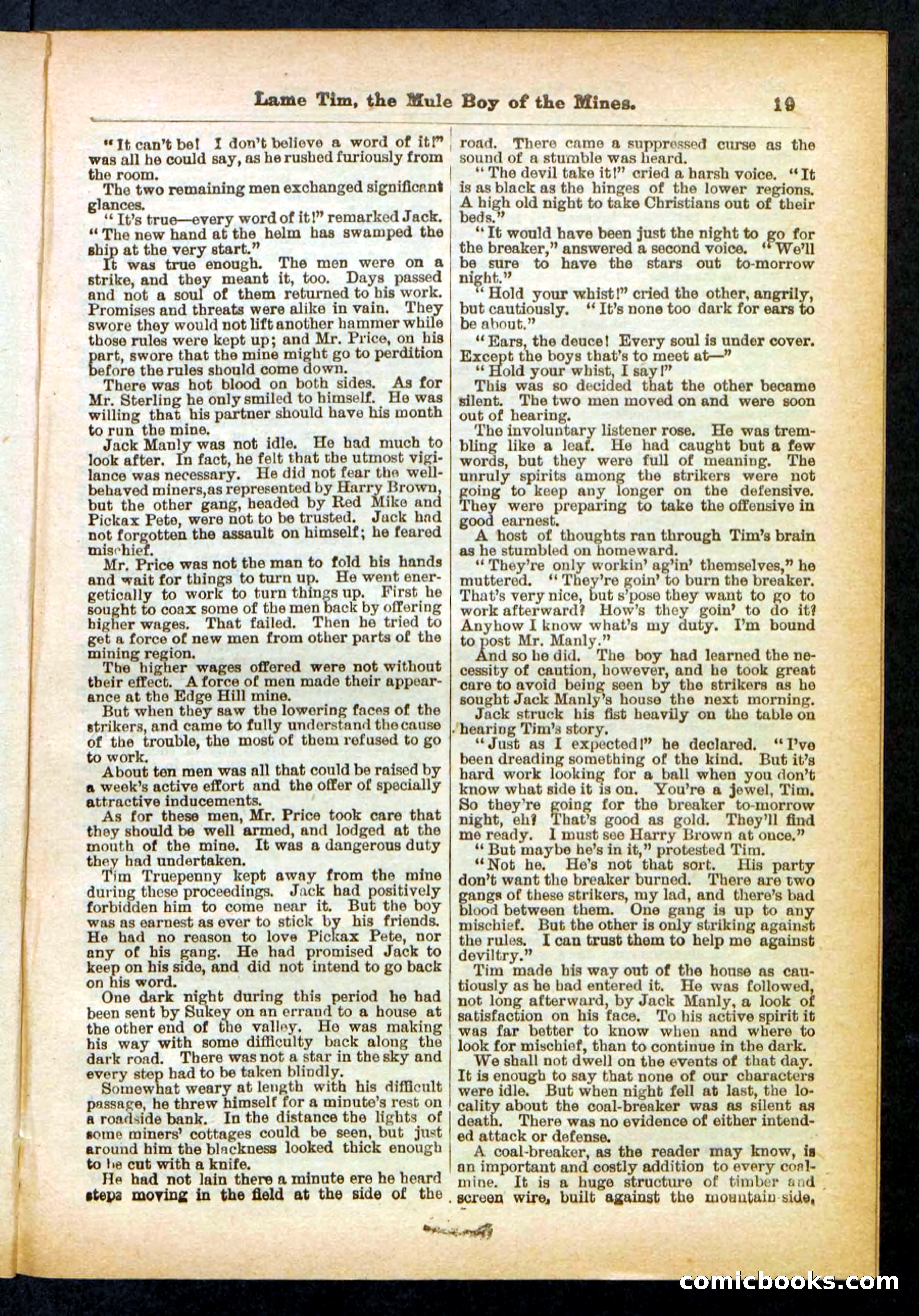 Beadle's Pocket Library No. 401 — page 19 of 32