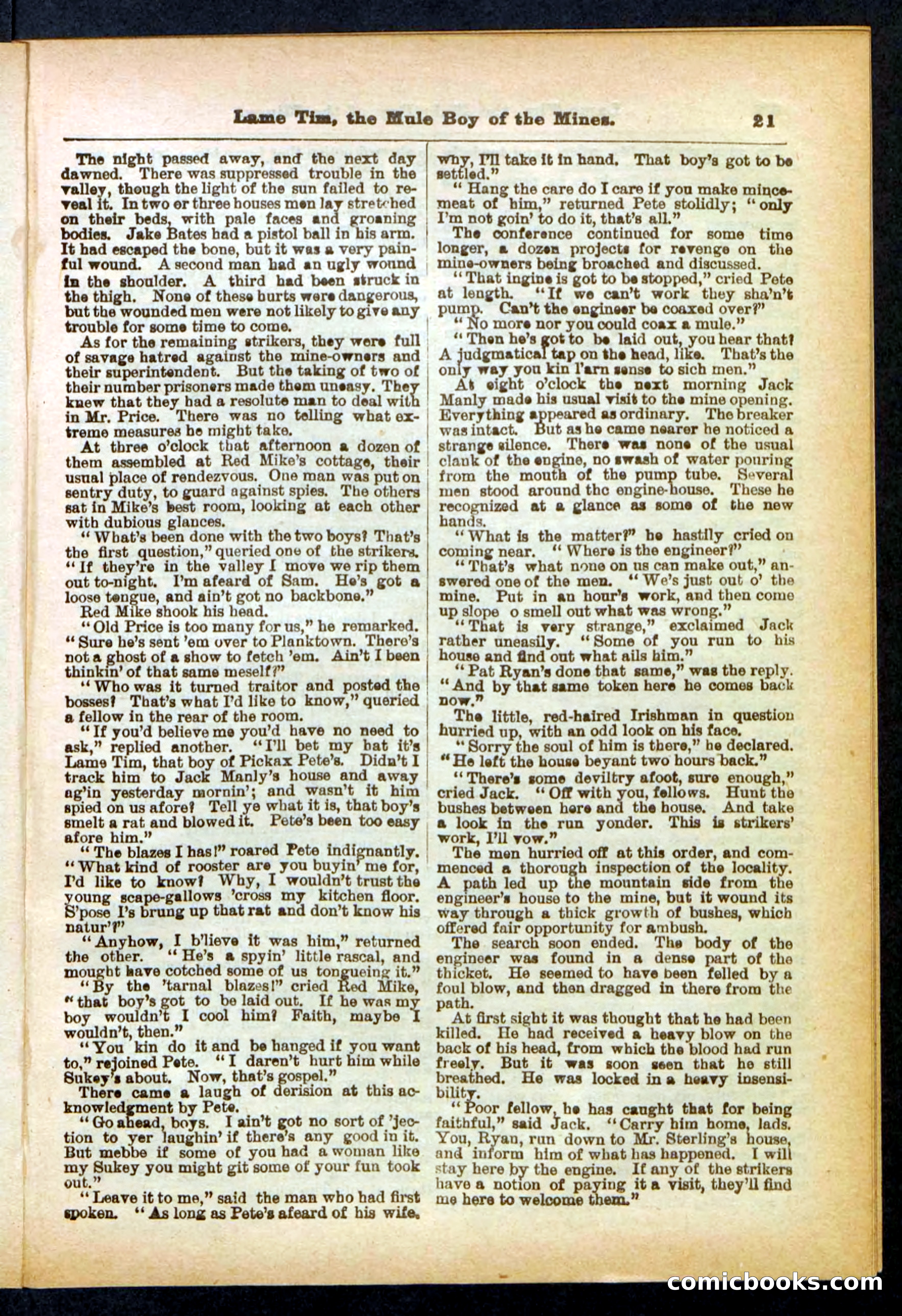 Beadle's Pocket Library No. 401 — page 21 of 32