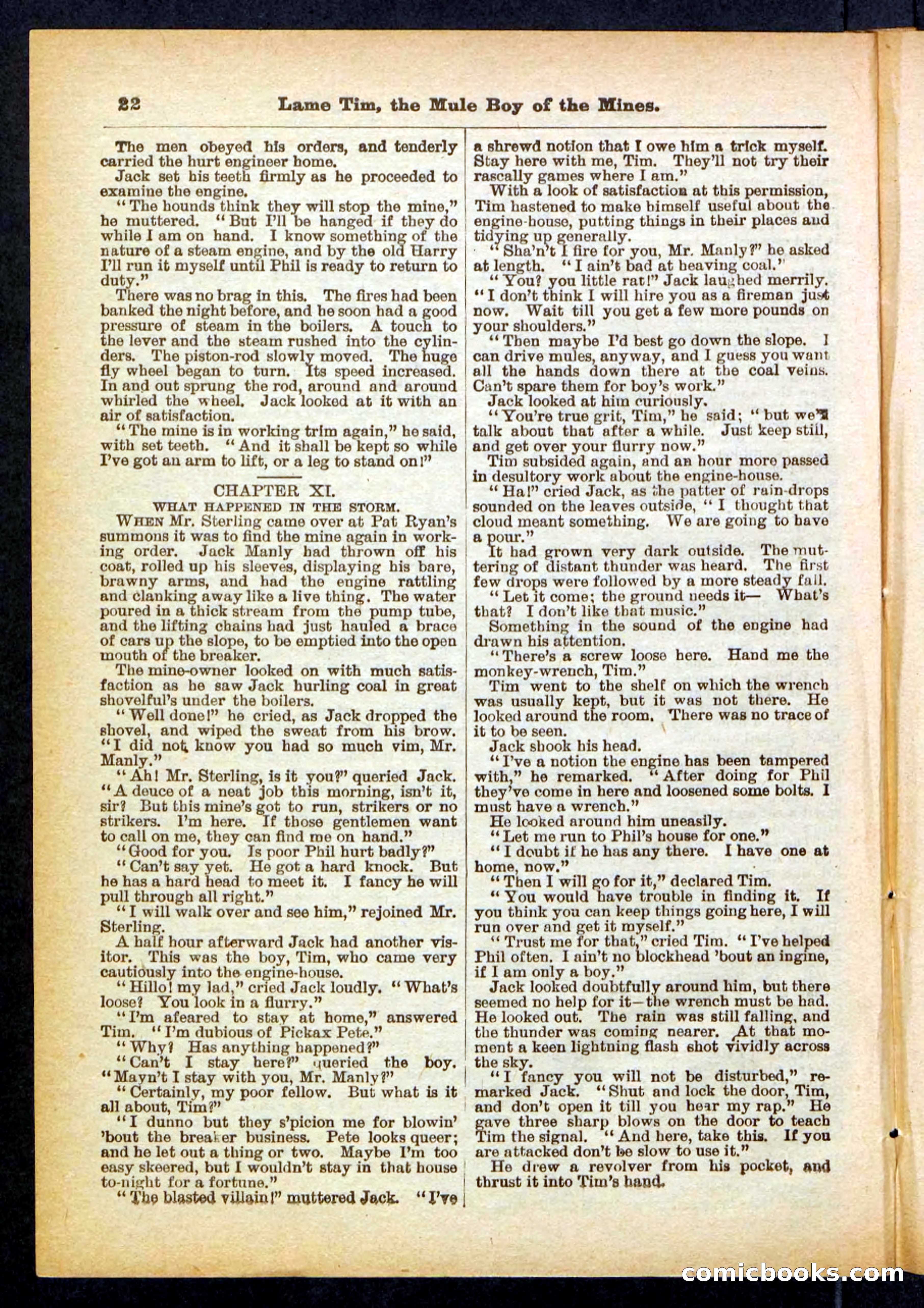 Beadle's Pocket Library No. 401 — page 22 of 32