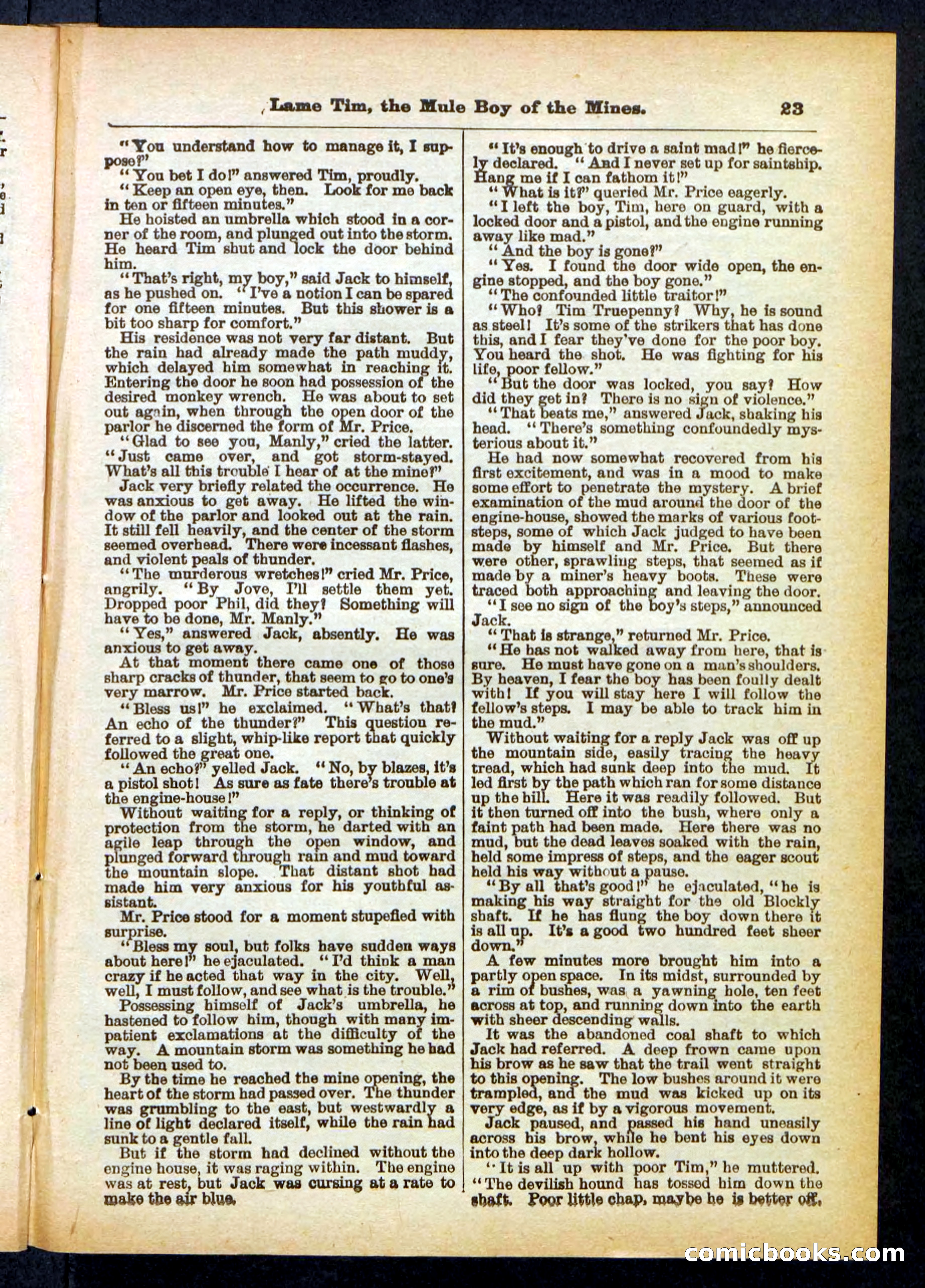 Beadle's Pocket Library No. 401 — page 23 of 32