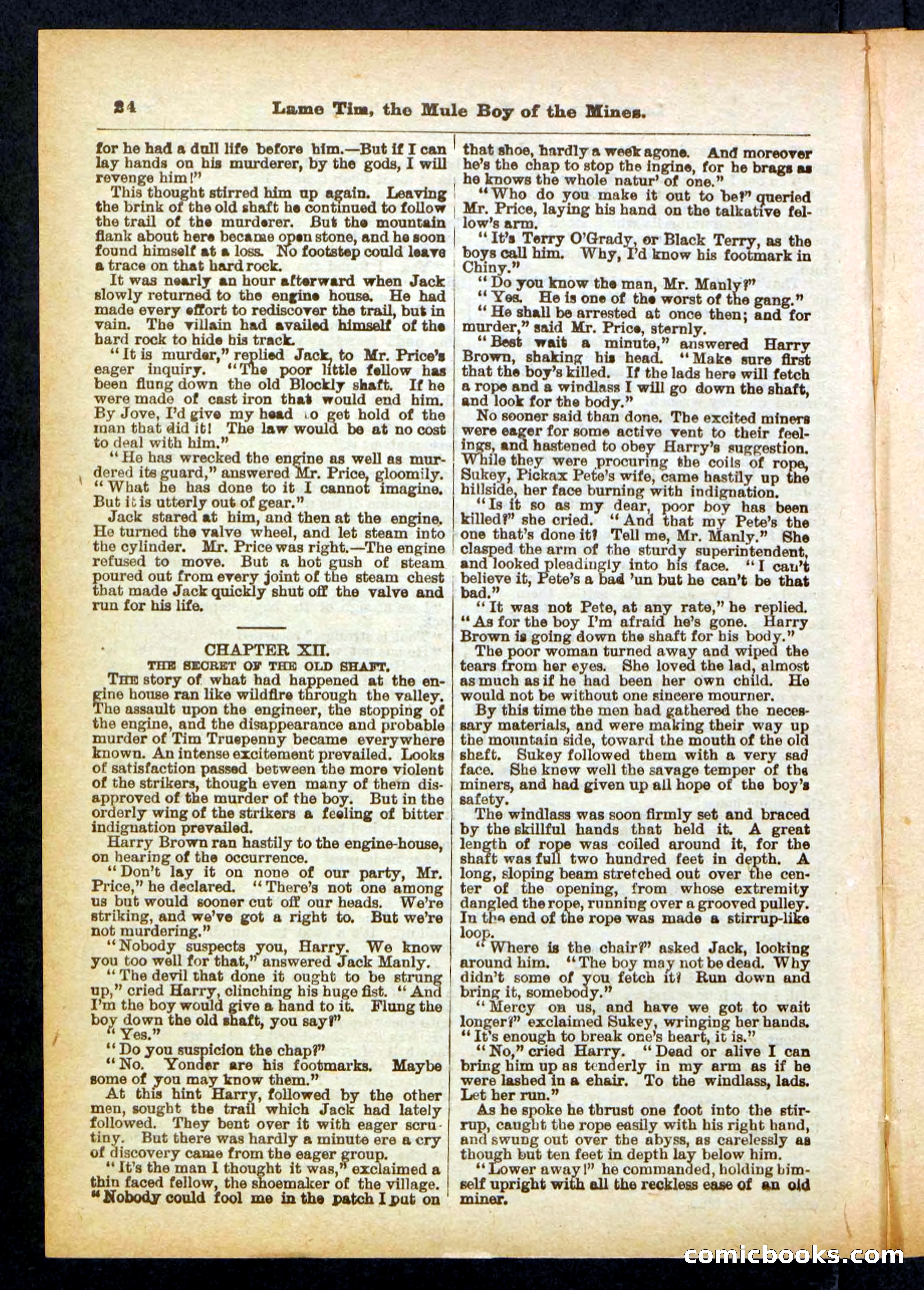 Beadle's Pocket Library No. 401 — page 24 of 32