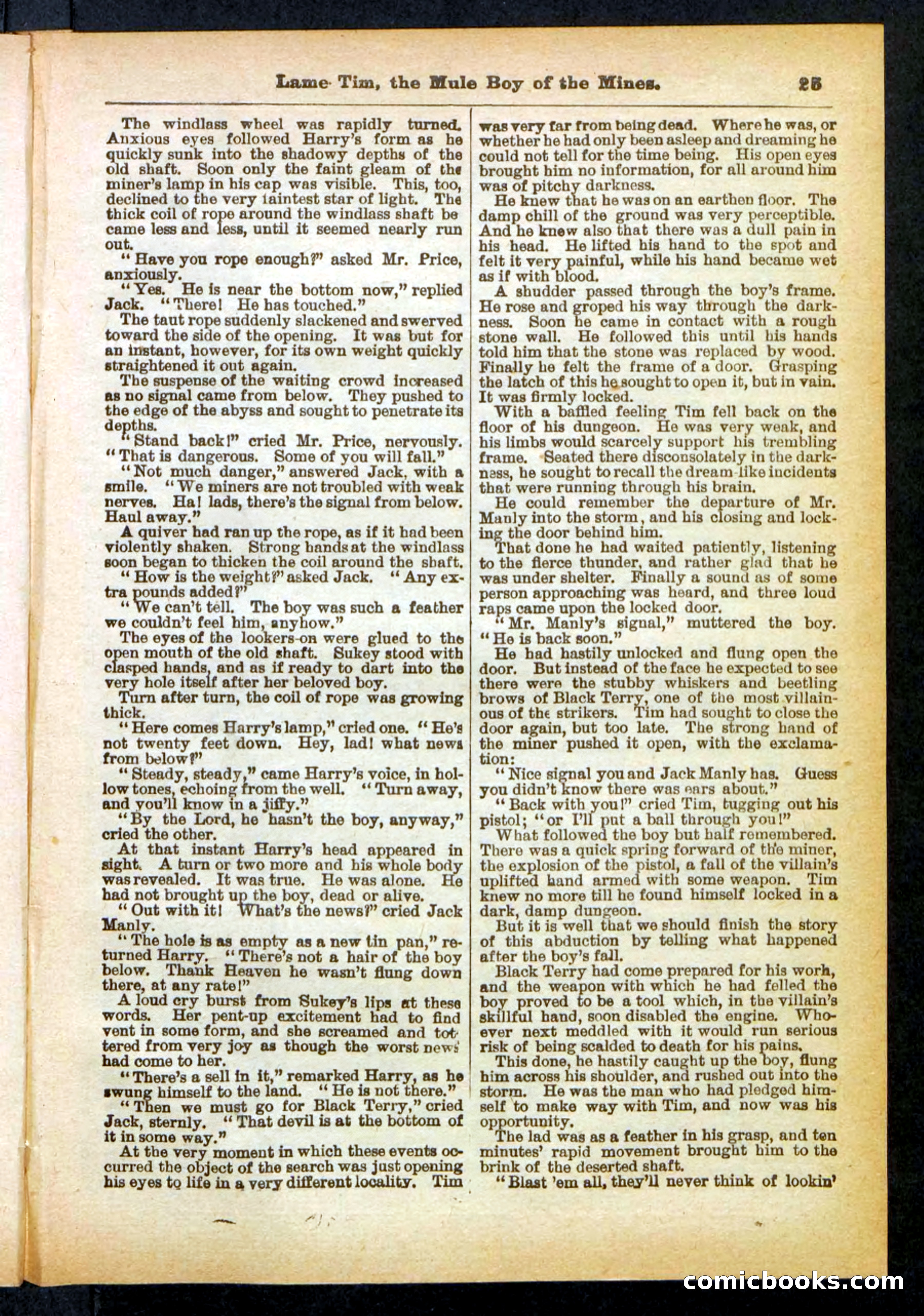 Beadle's Pocket Library No. 401 — page 25 of 32