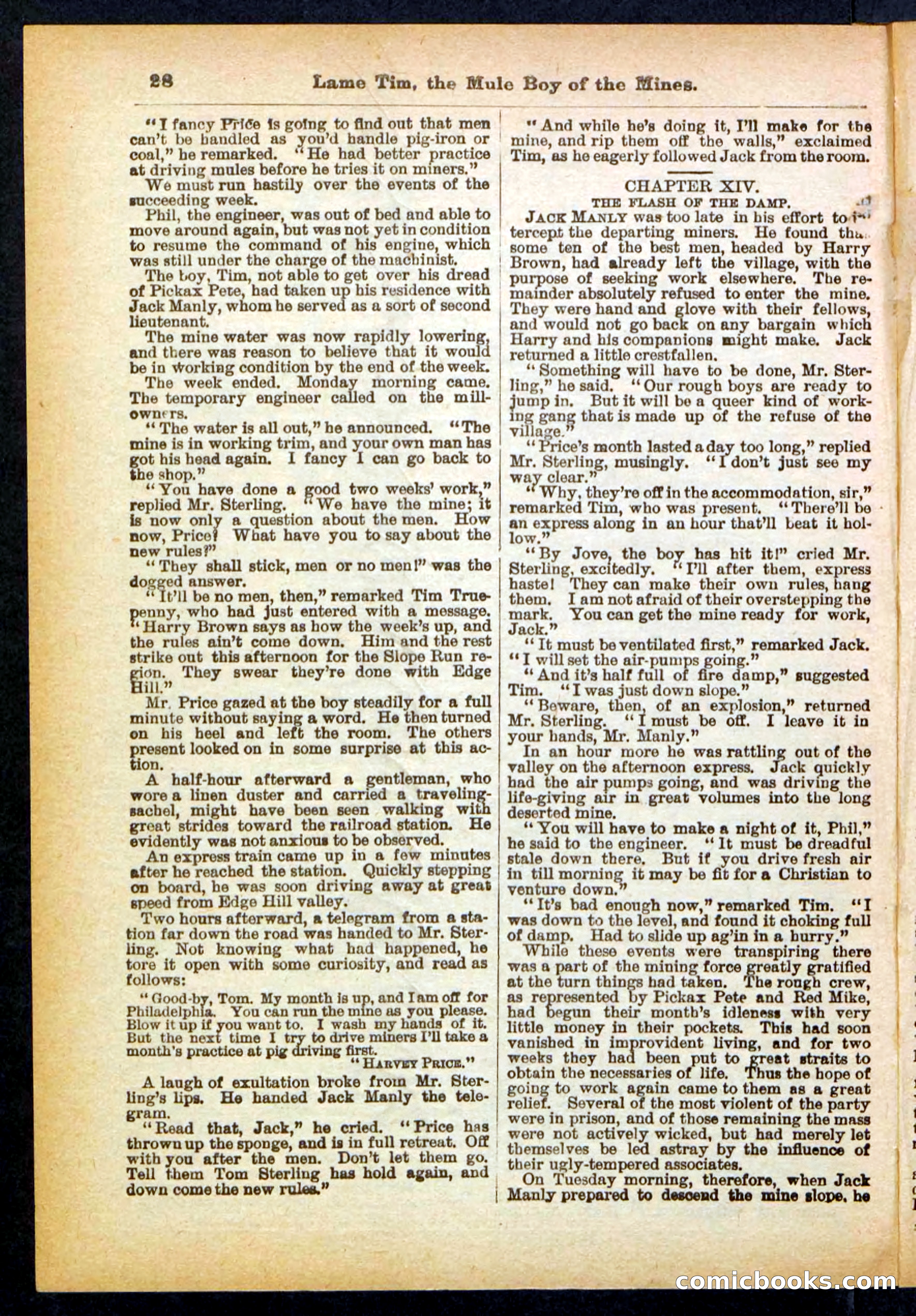Beadle's Pocket Library No. 401 — page 28 of 32