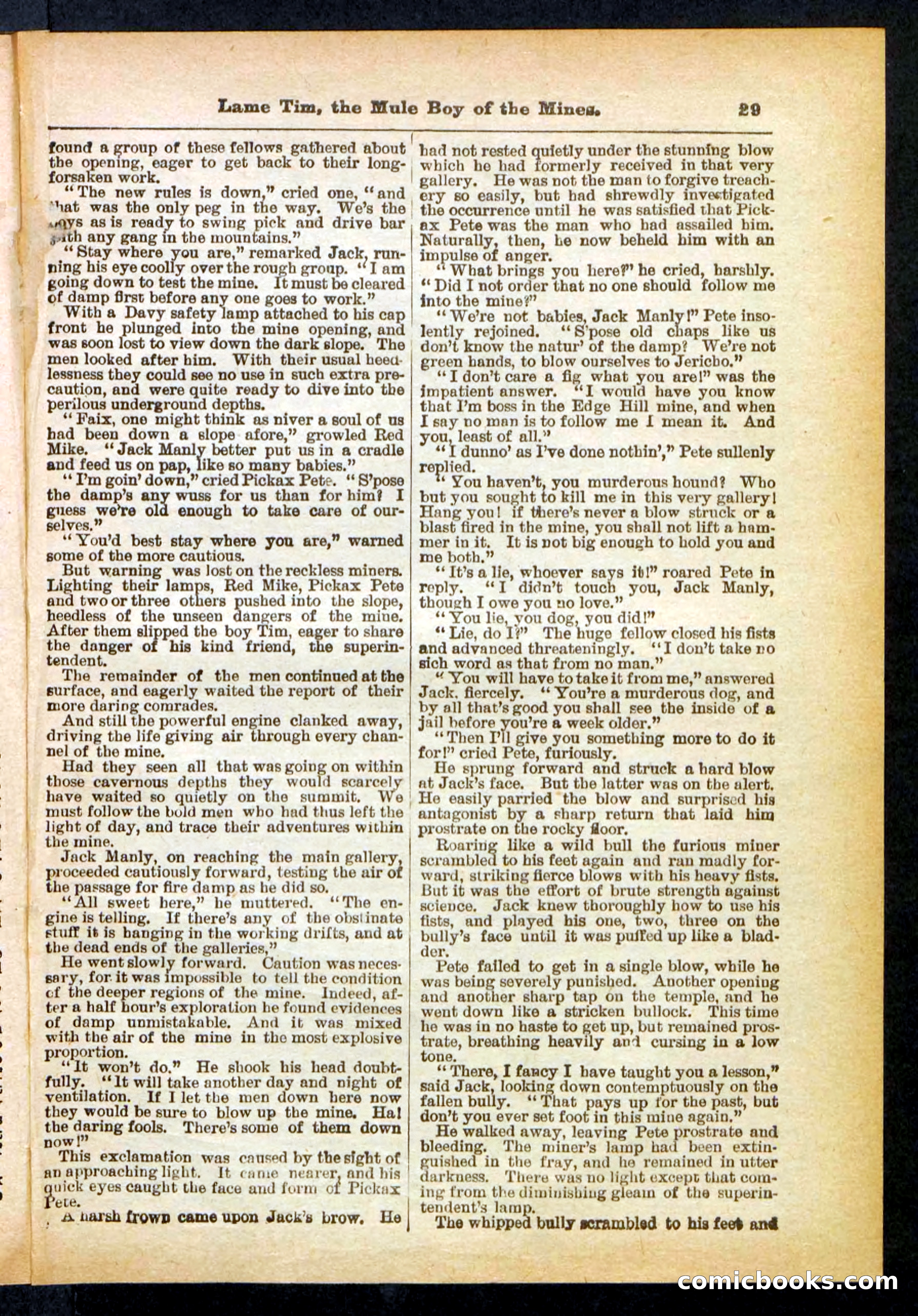 Beadle's Pocket Library No. 401 — page 29 of 32