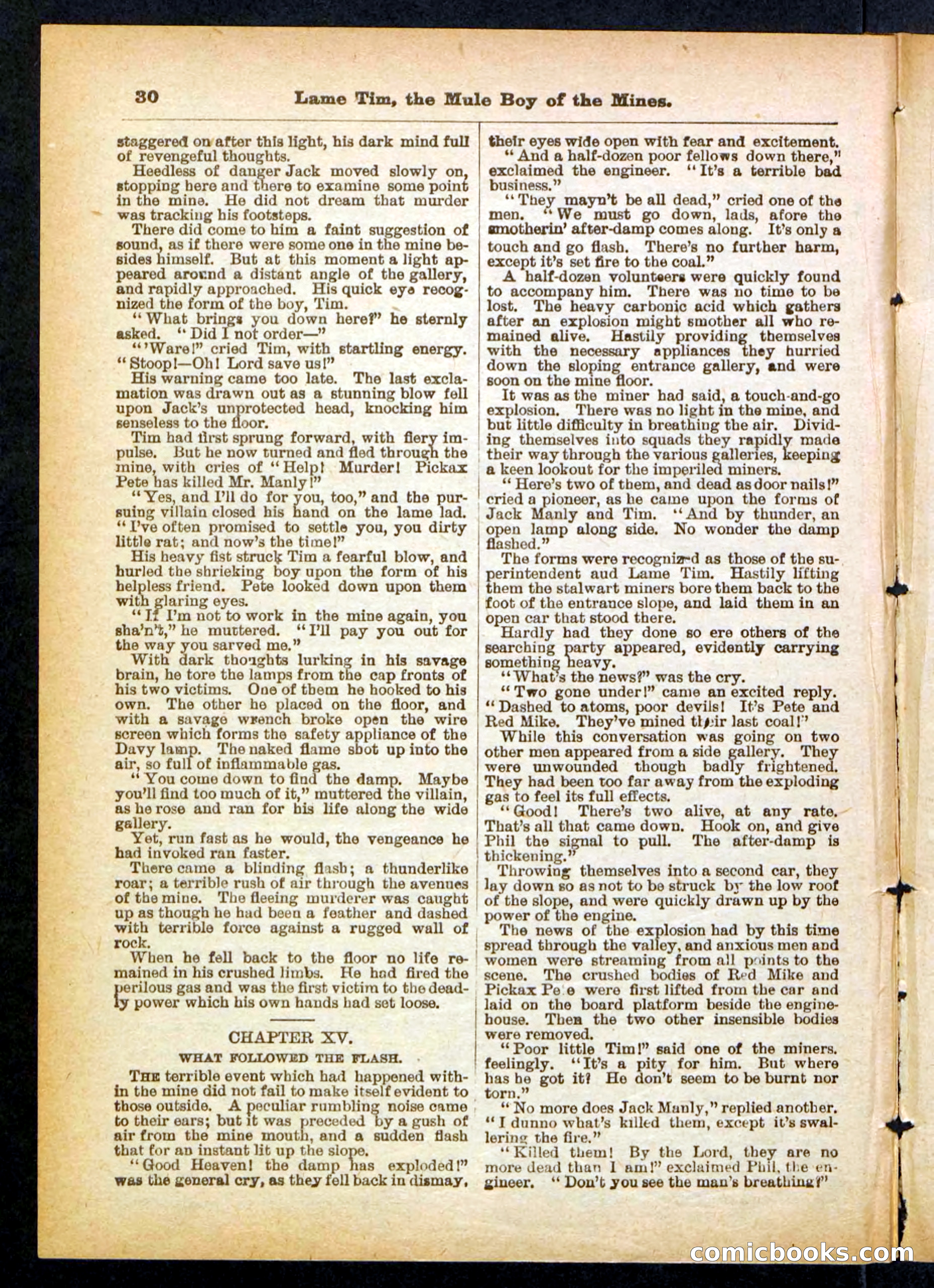Beadle's Pocket Library No. 401 — page 30 of 32