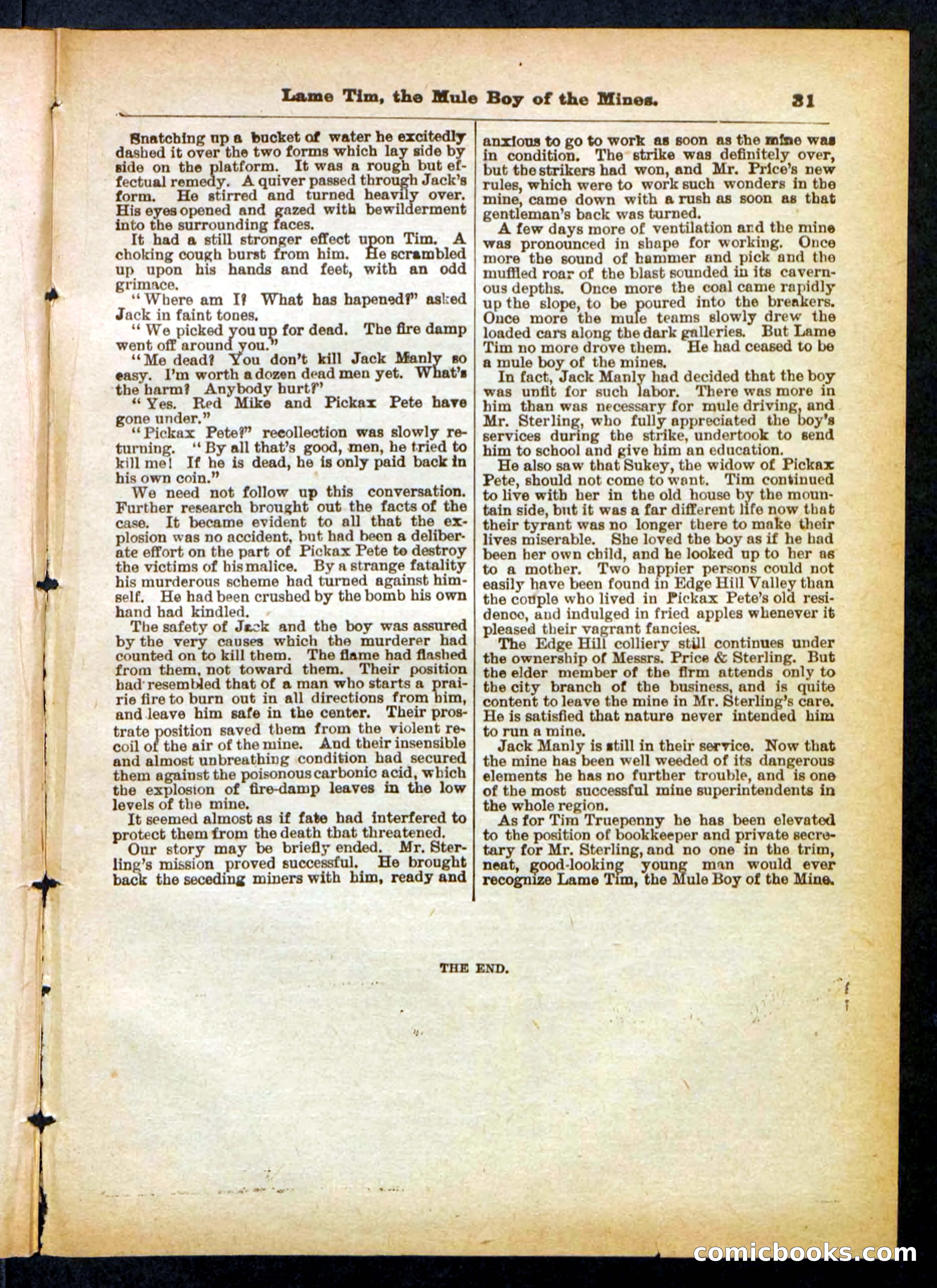 Beadle's Pocket Library No. 401 — page 31 of 32