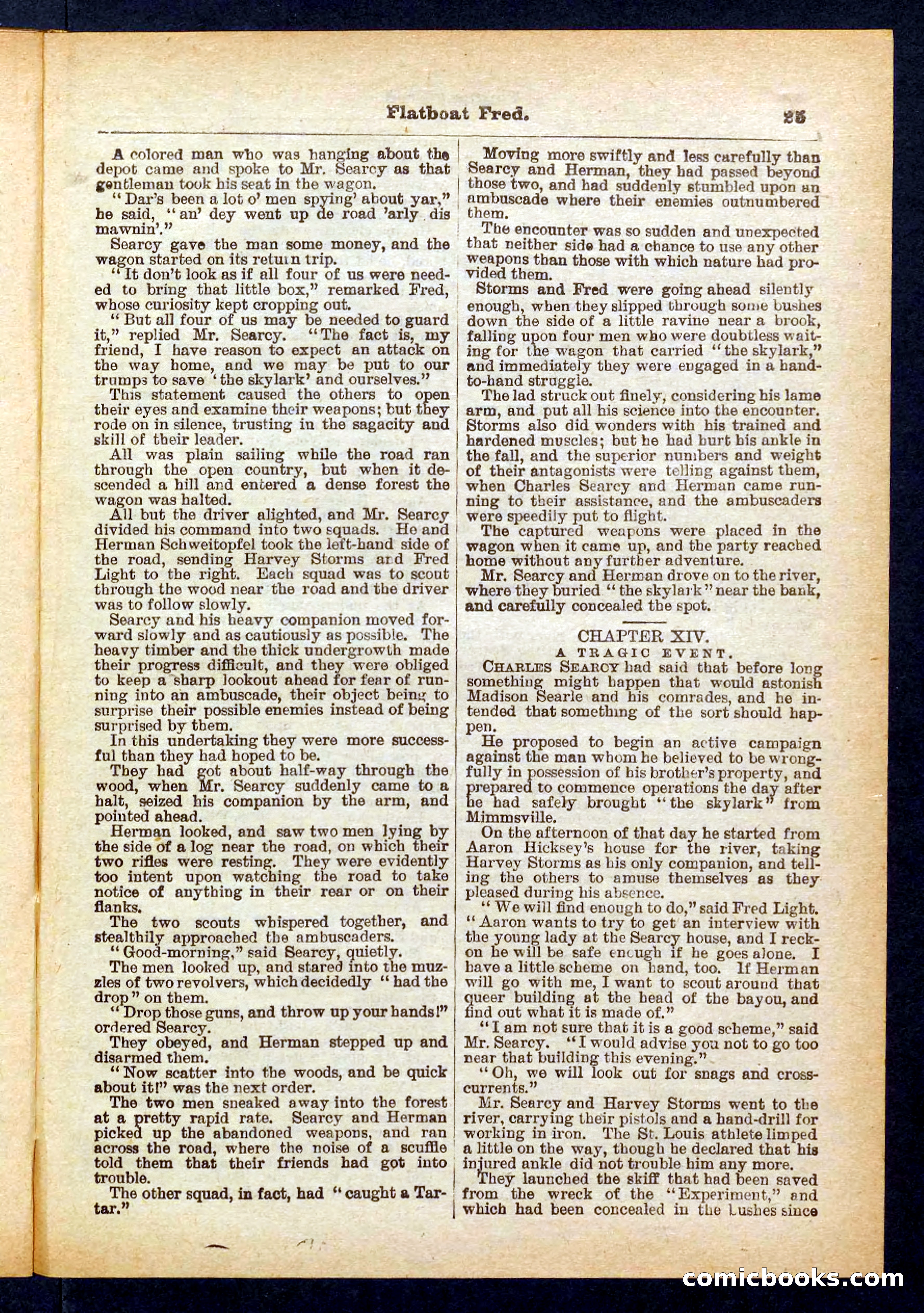 Beadle's Pocket Library No. 402 — page 25 of 32