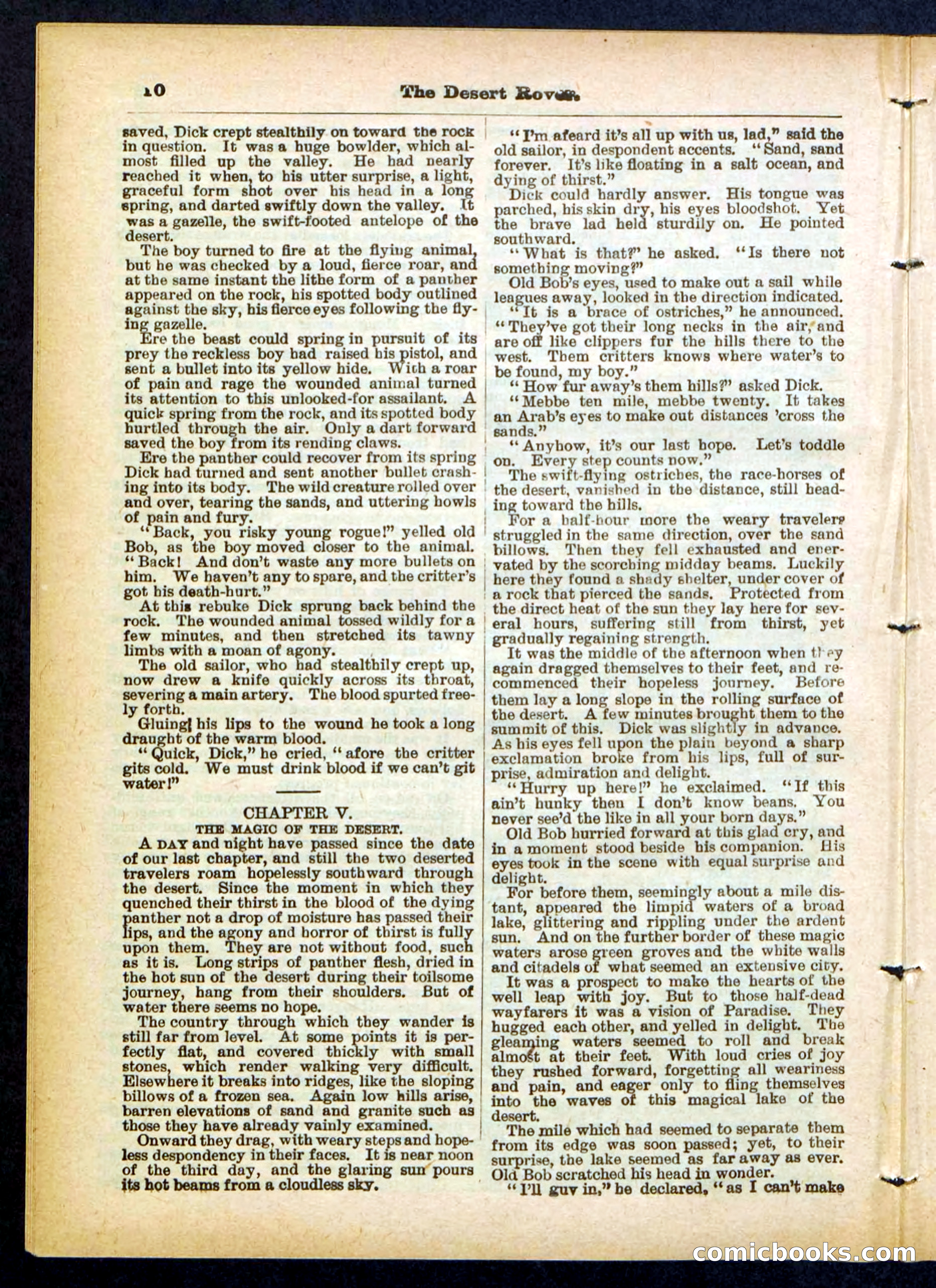 Beadle's Pocket Library No. 408 — page 10 of 32