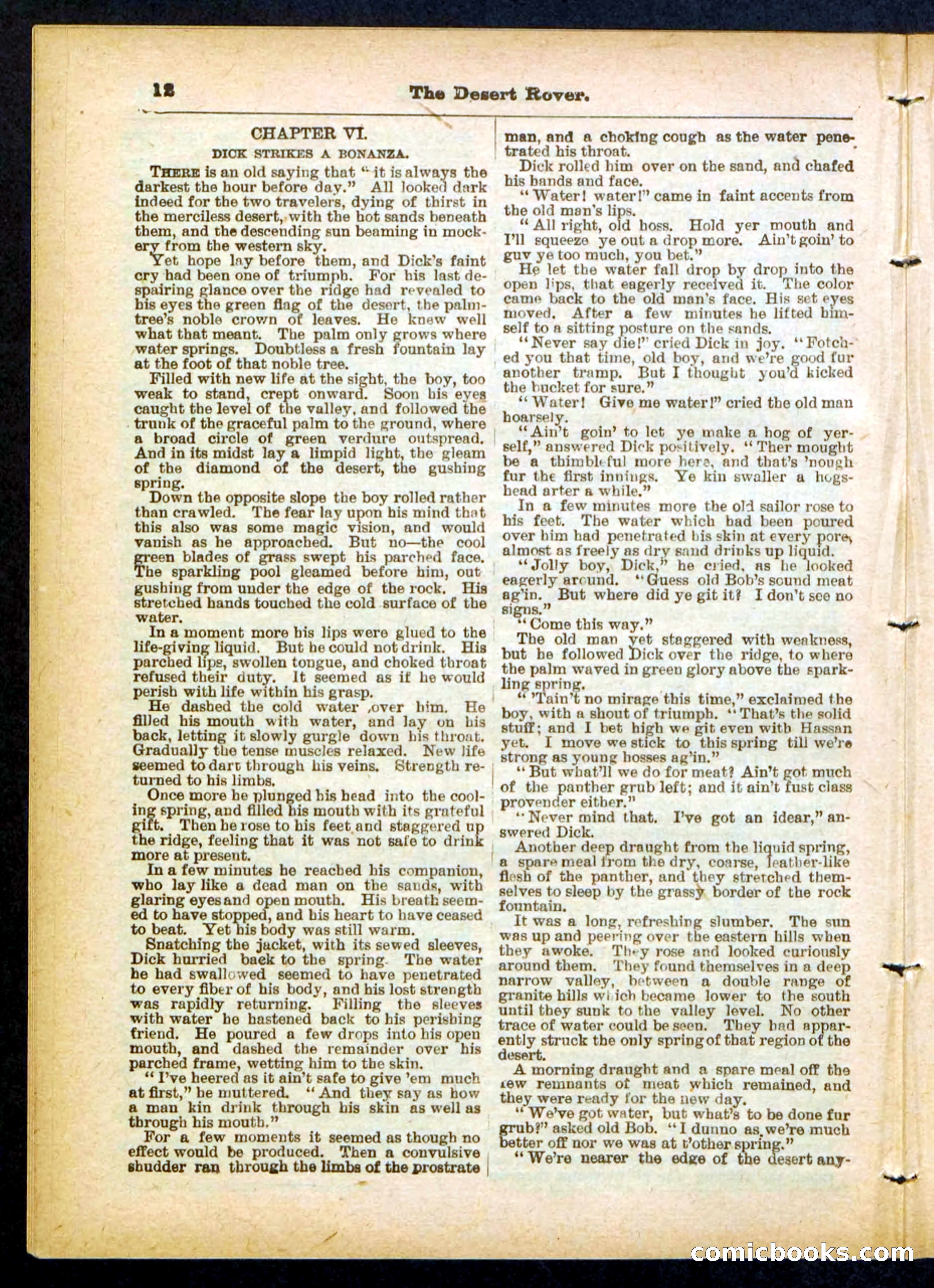 Beadle's Pocket Library No. 408 — page 12 of 32