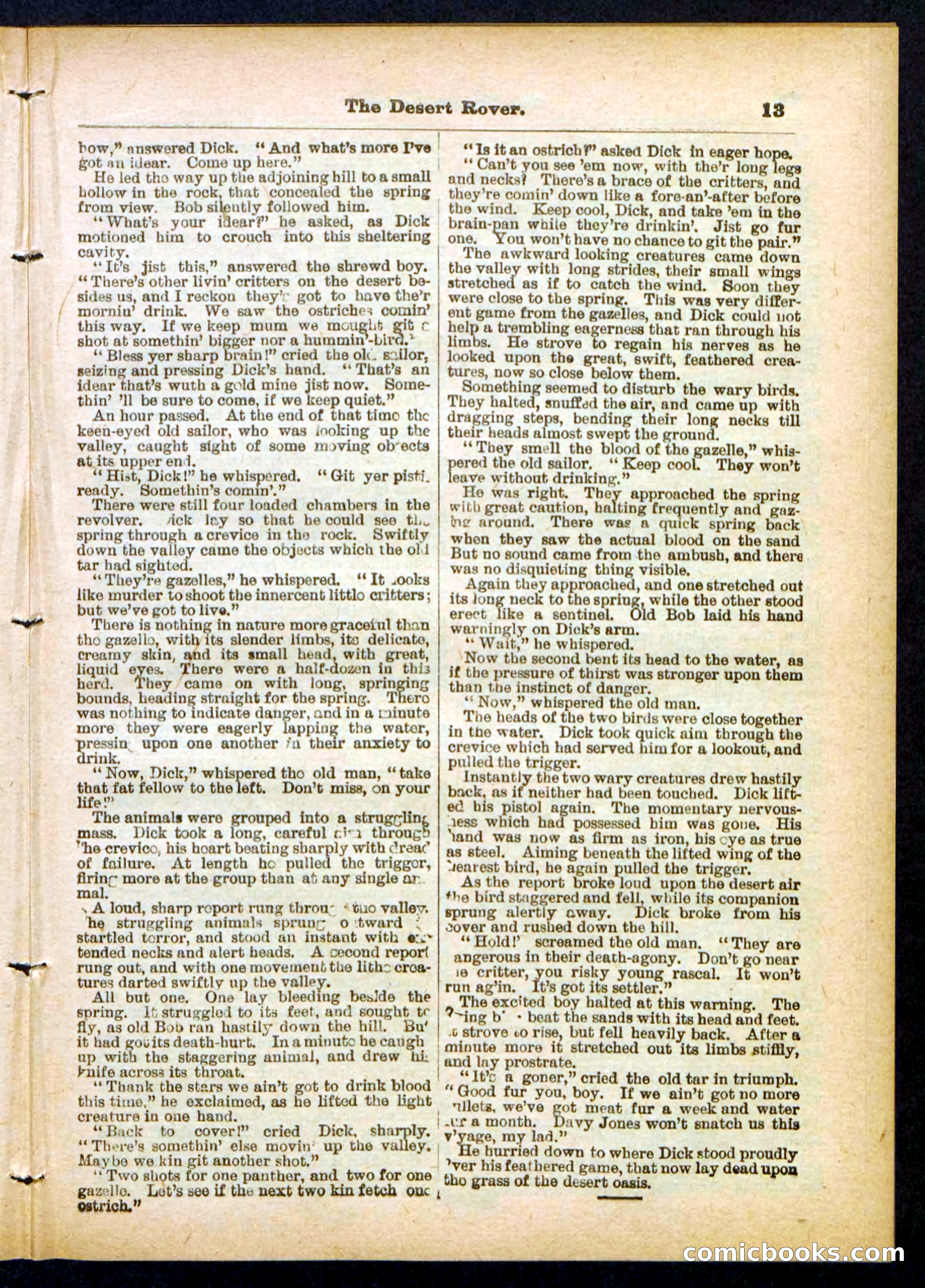 Beadle's Pocket Library No. 408 — page 13 of 32