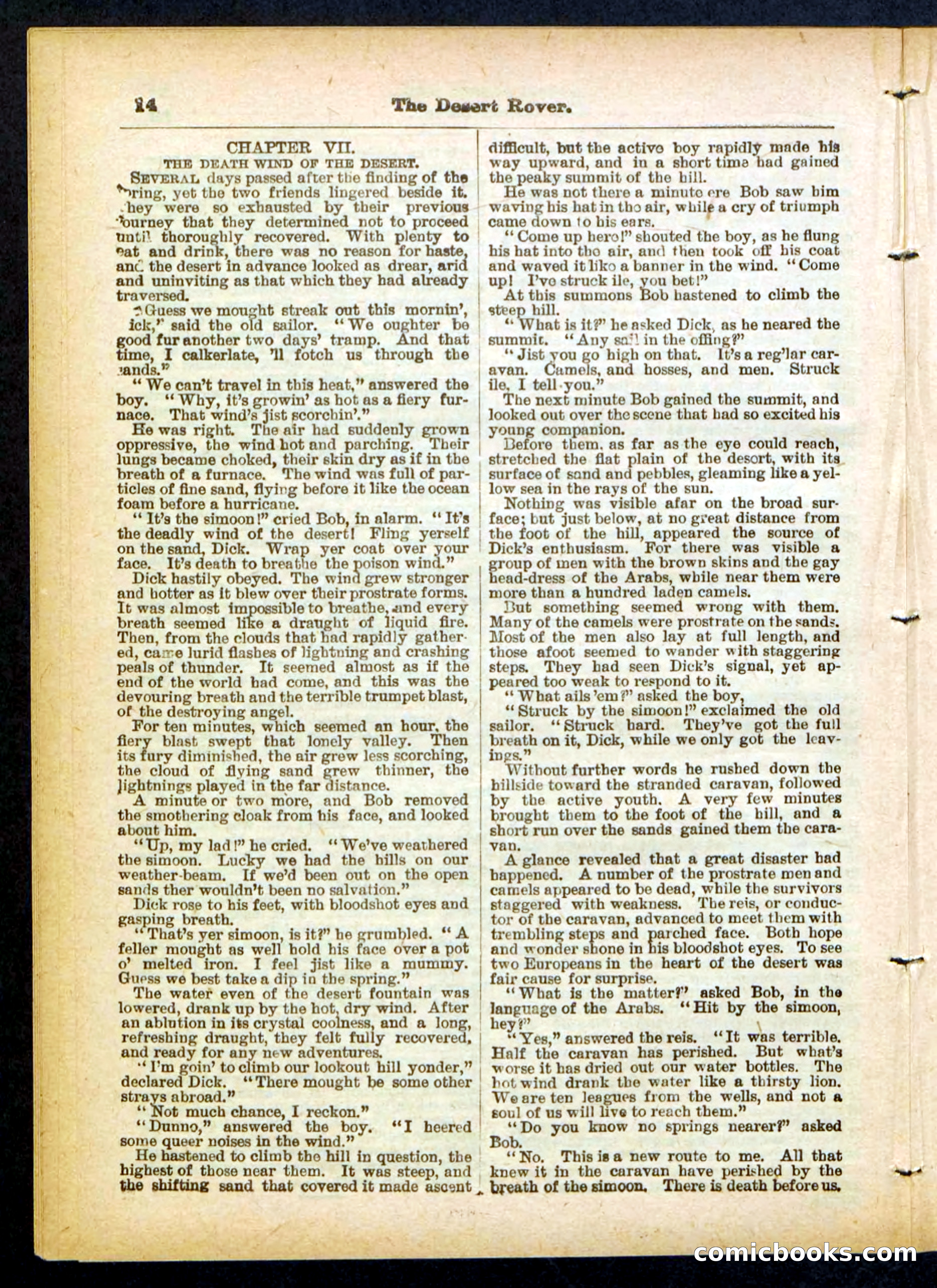 Beadle's Pocket Library No. 408 — page 14 of 32