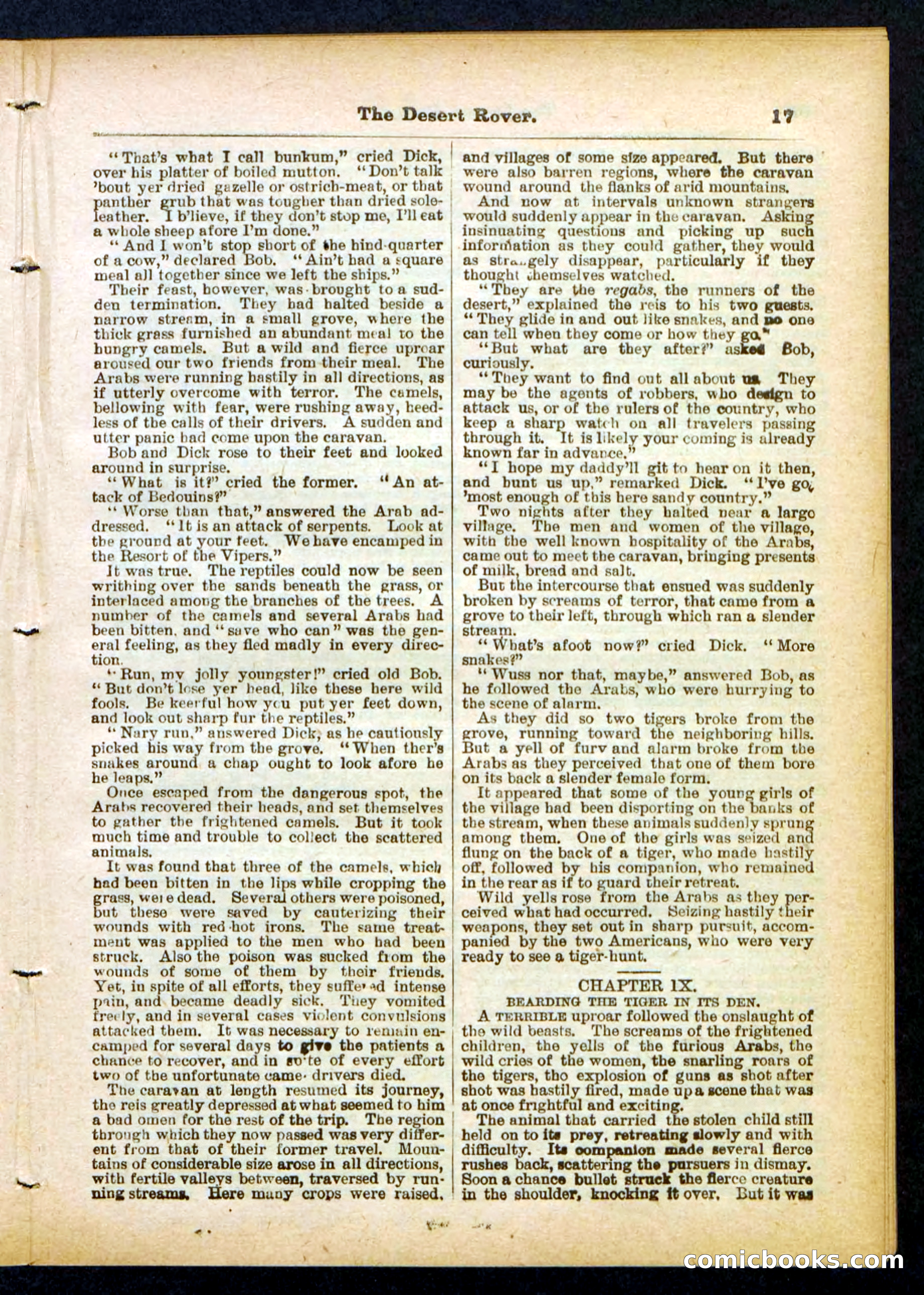 Beadle's Pocket Library No. 408 — page 17 of 32