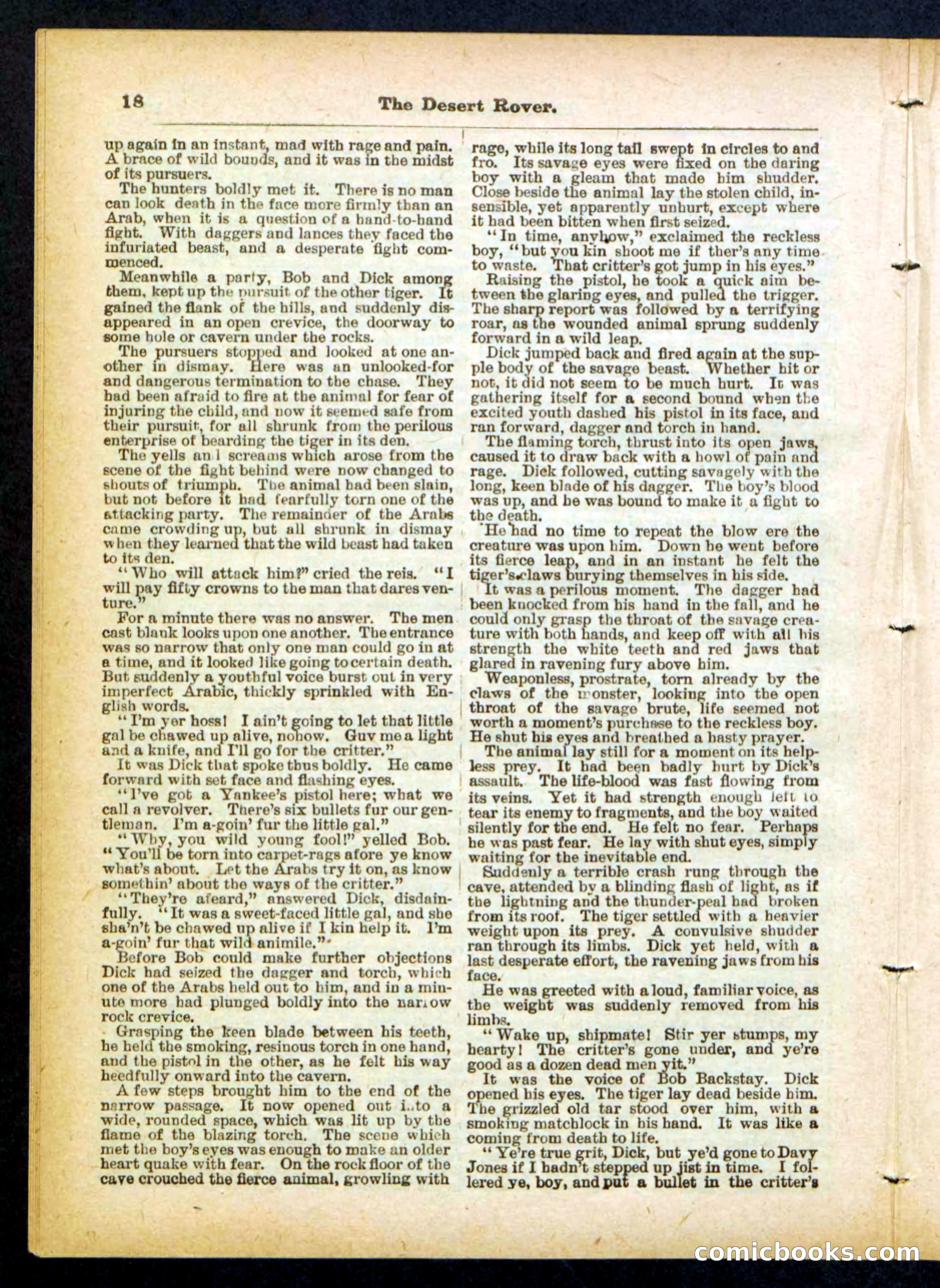 Beadle's Pocket Library No. 408 — page 18 of 32