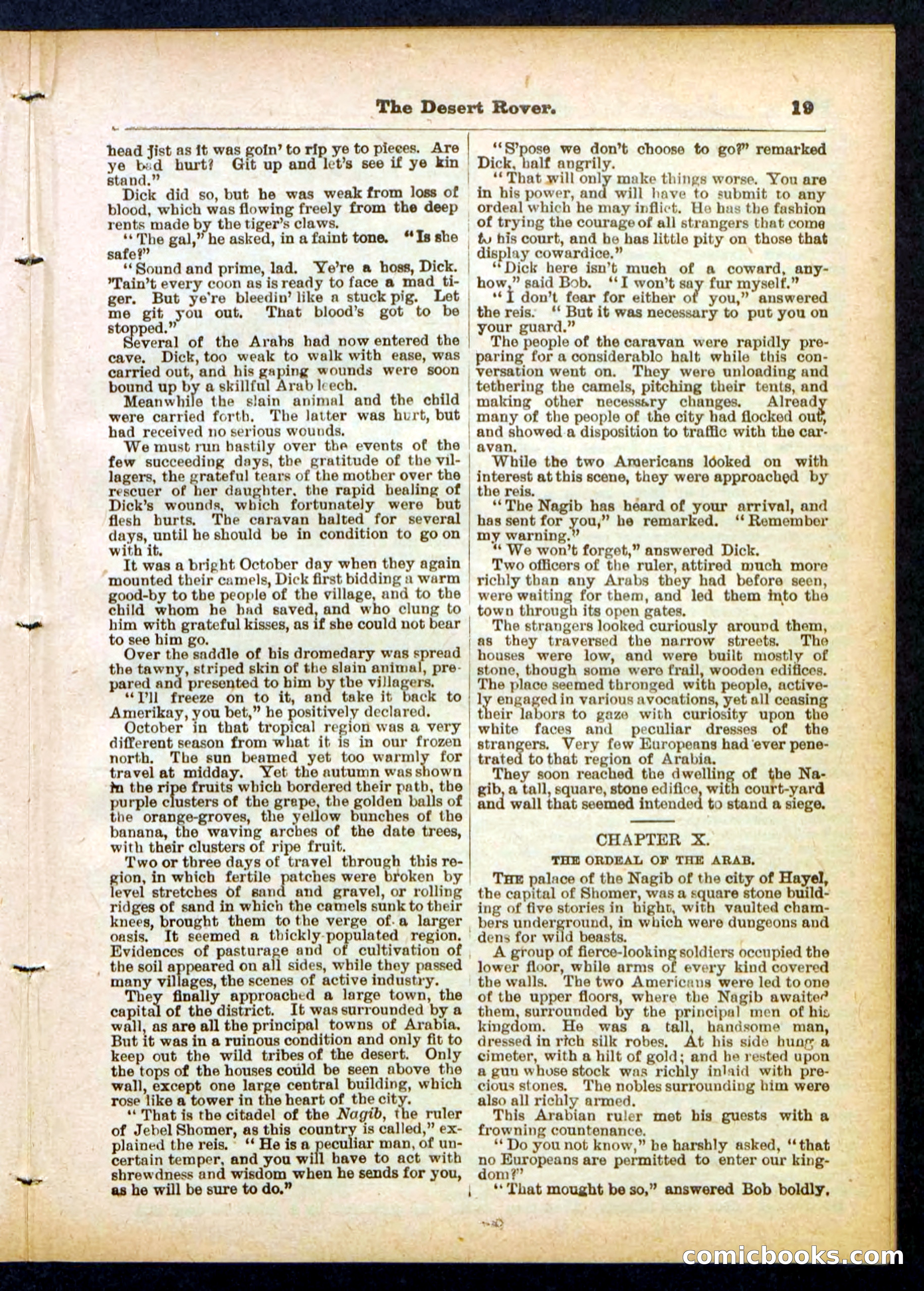 Beadle's Pocket Library No. 408 — page 19 of 32