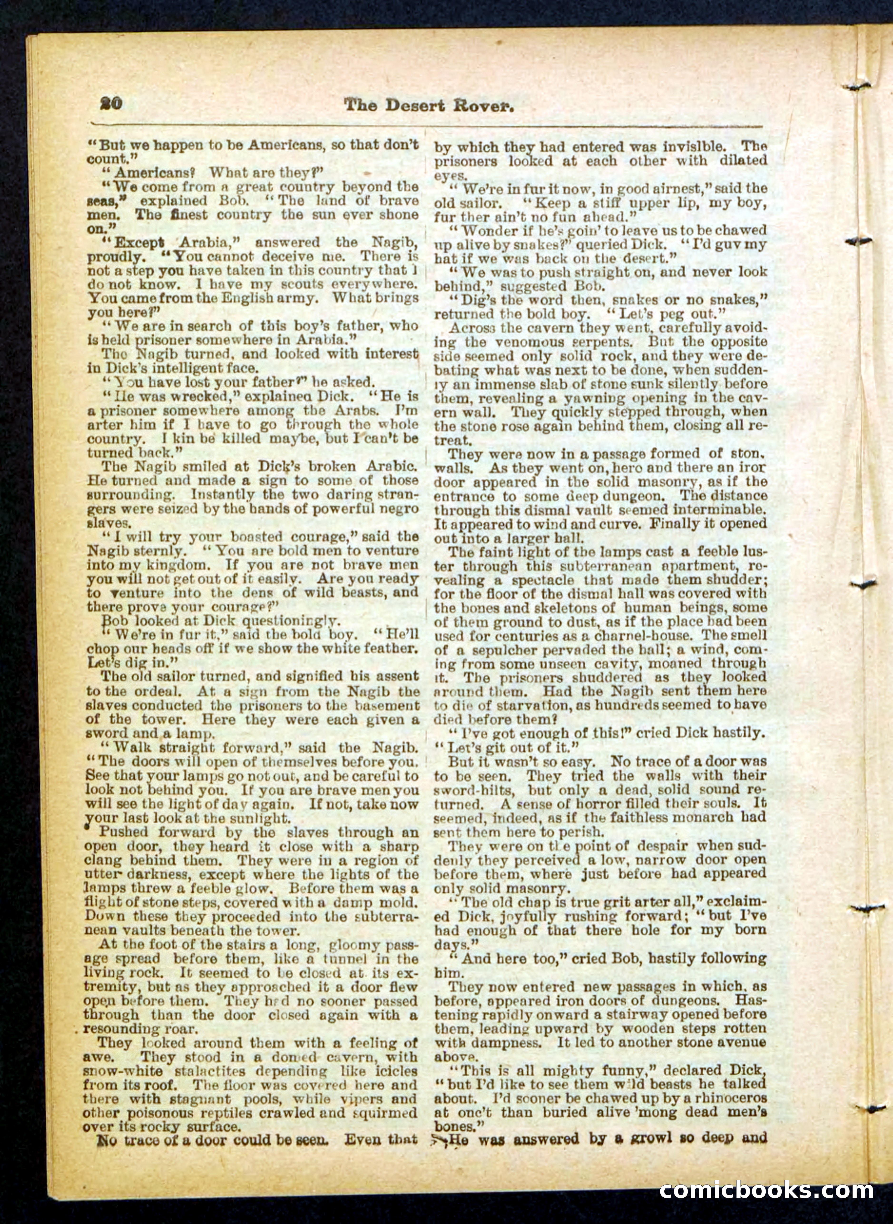 Beadle's Pocket Library No. 408 — page 20 of 32
