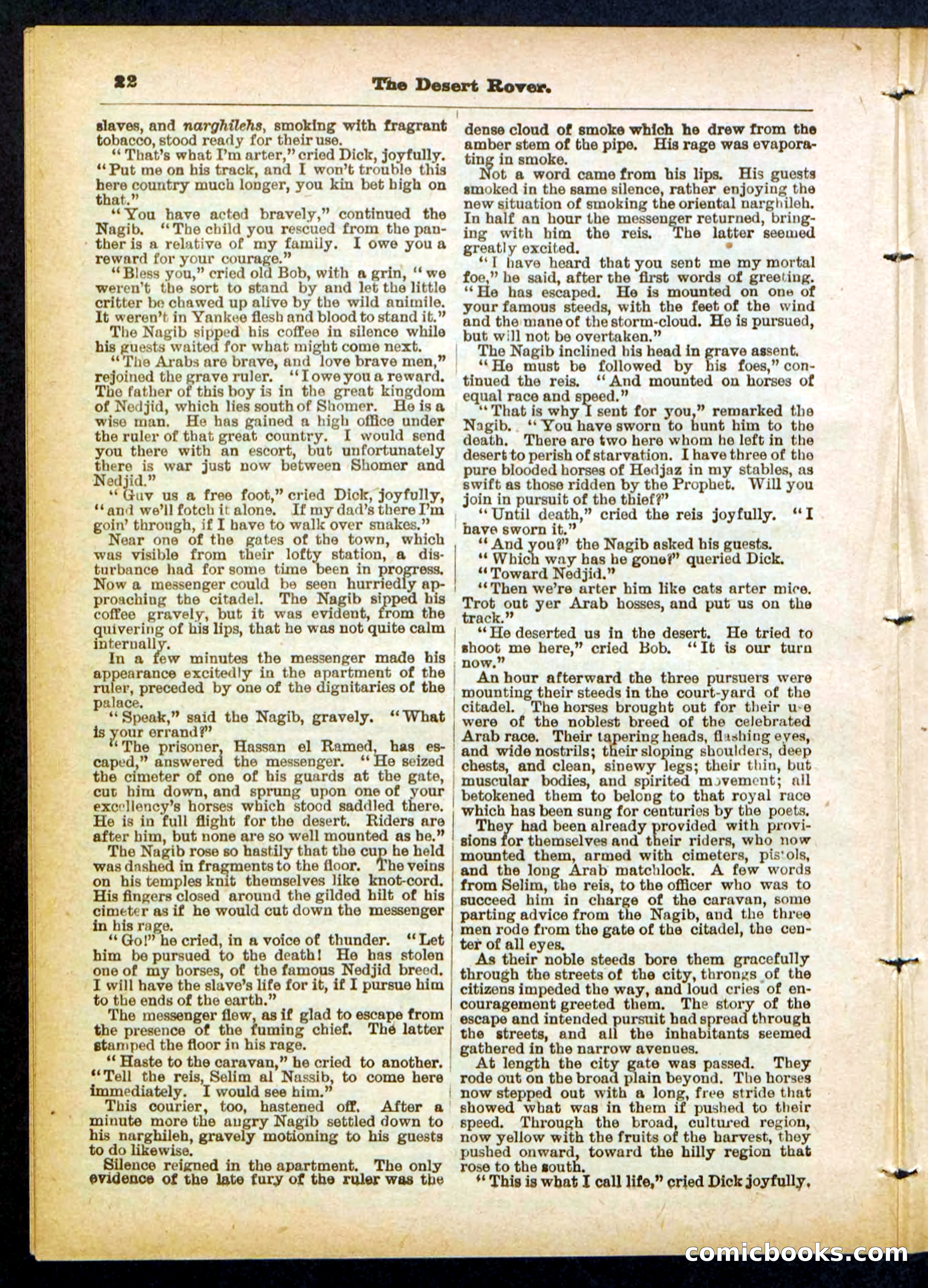Beadle's Pocket Library No. 408 — page 22 of 32