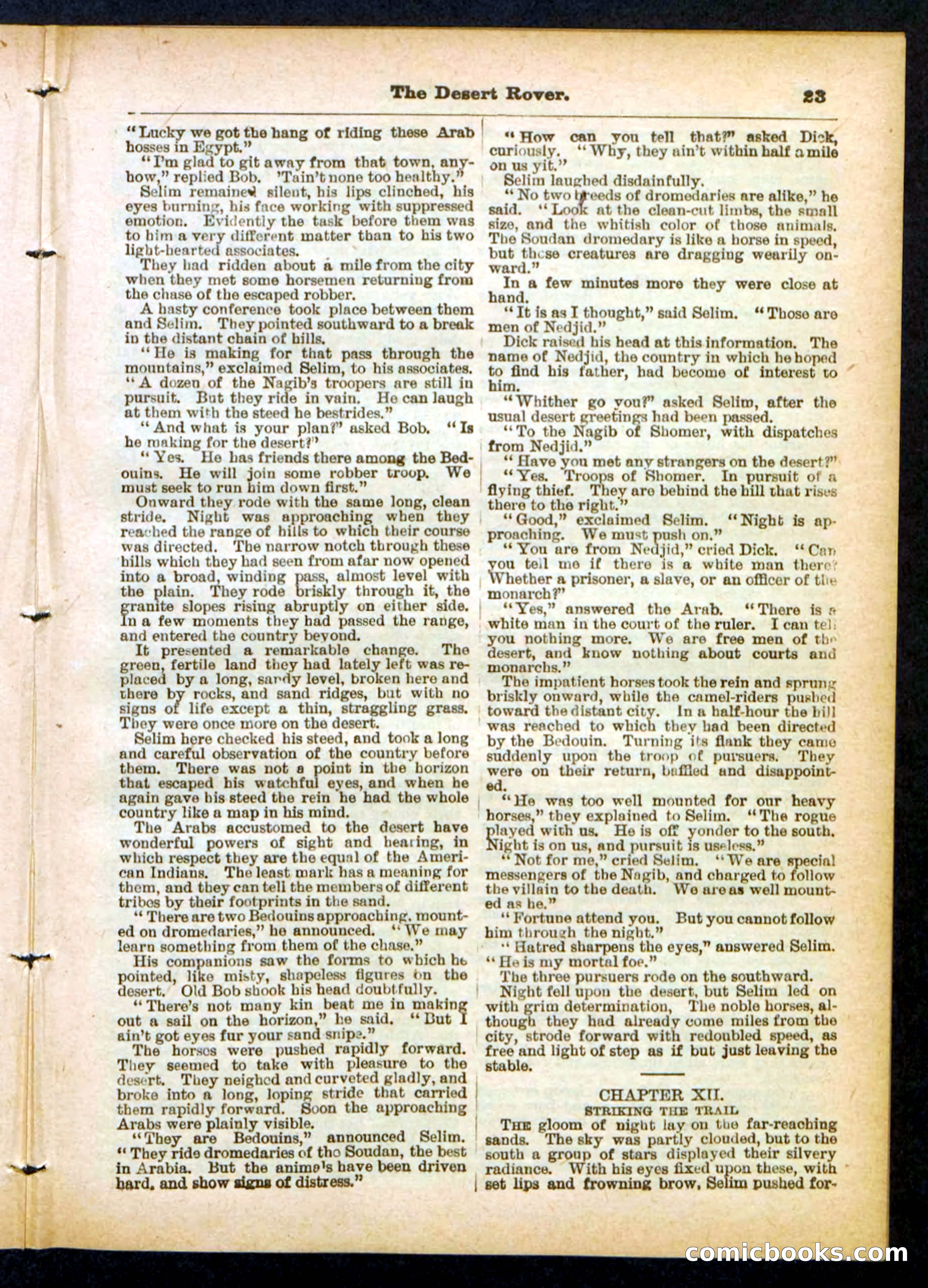 Beadle's Pocket Library No. 408 — page 23 of 32
