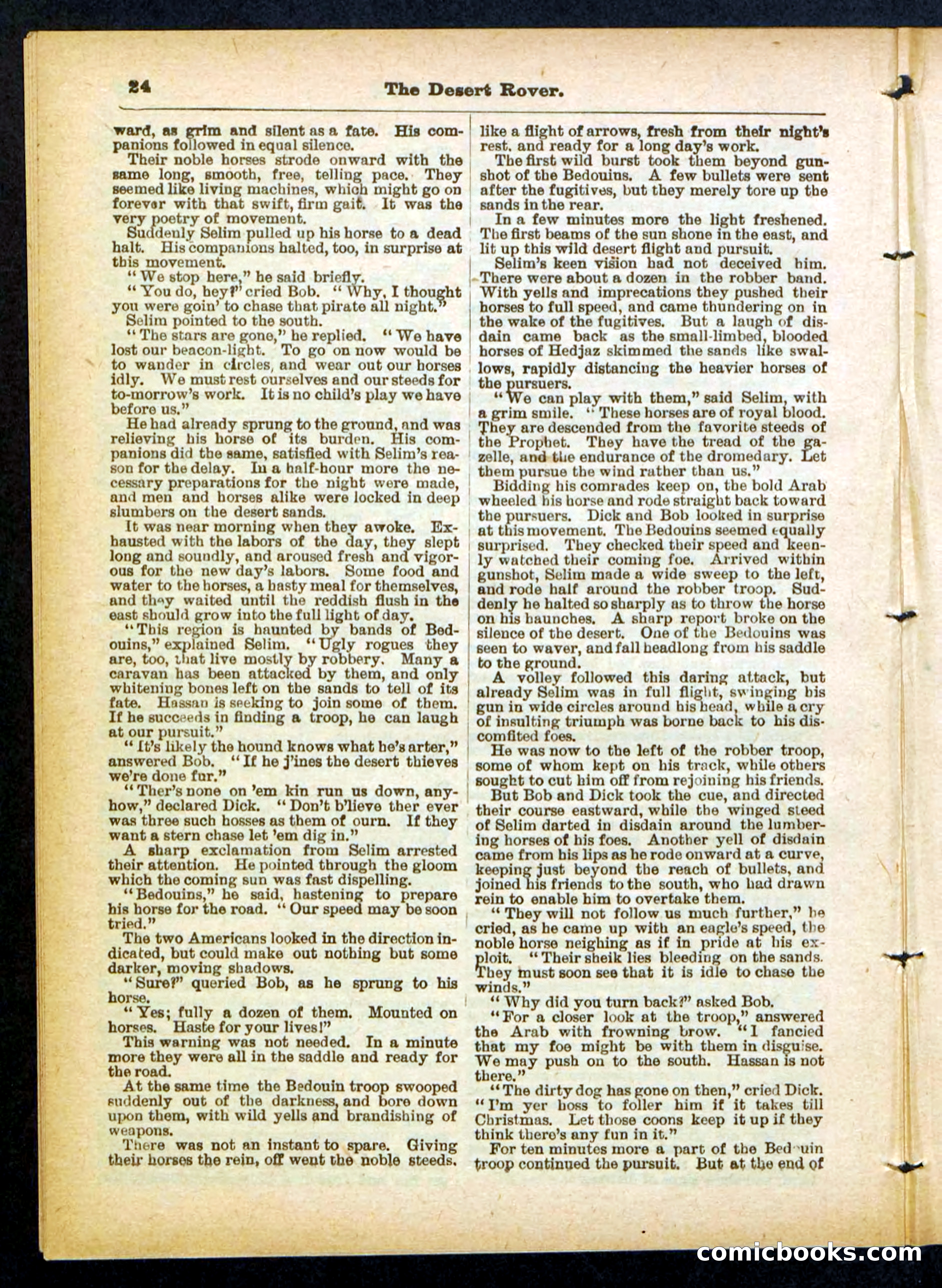 Beadle's Pocket Library No. 408 — page 24 of 32