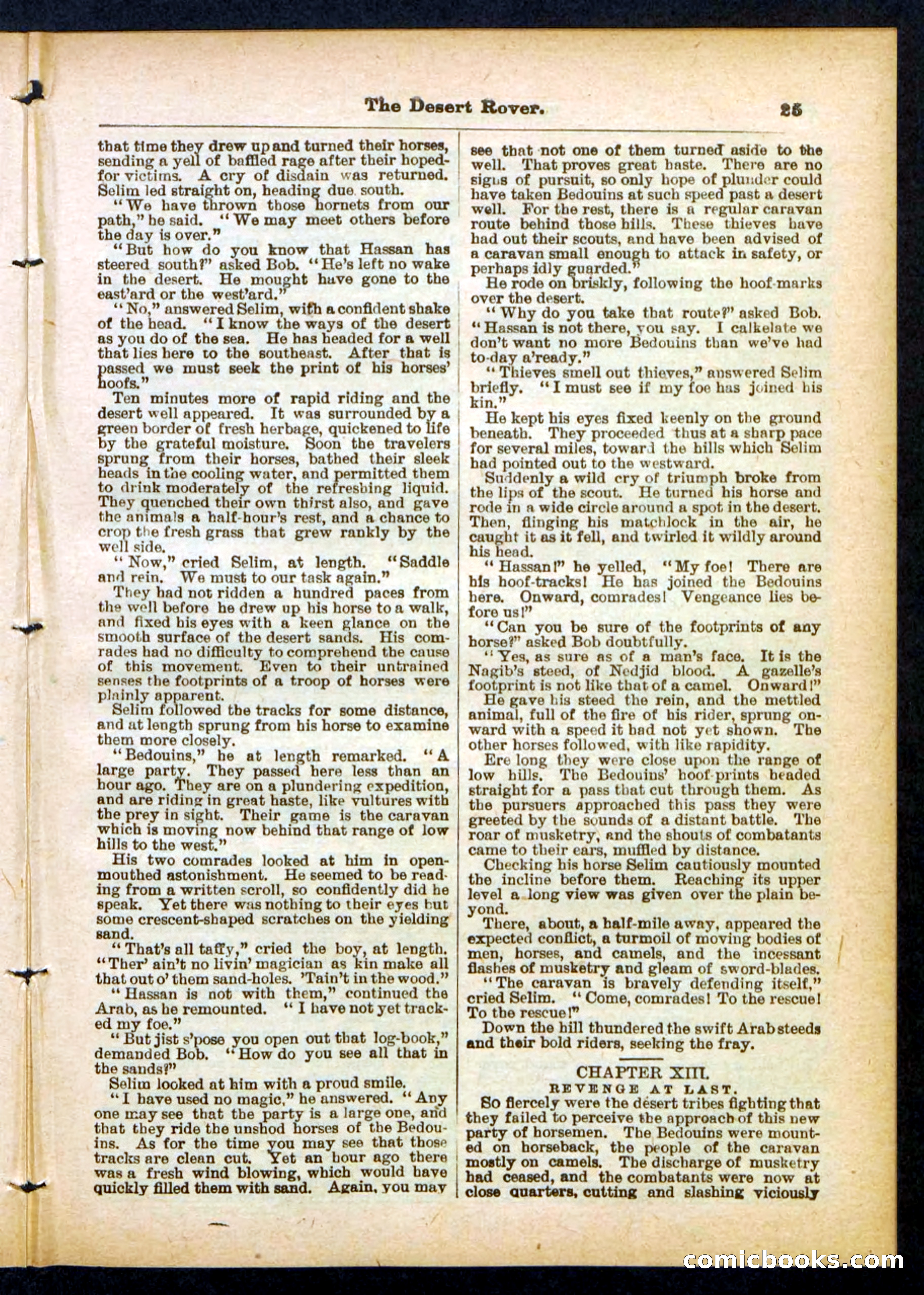 Beadle's Pocket Library No. 408 — page 25 of 32