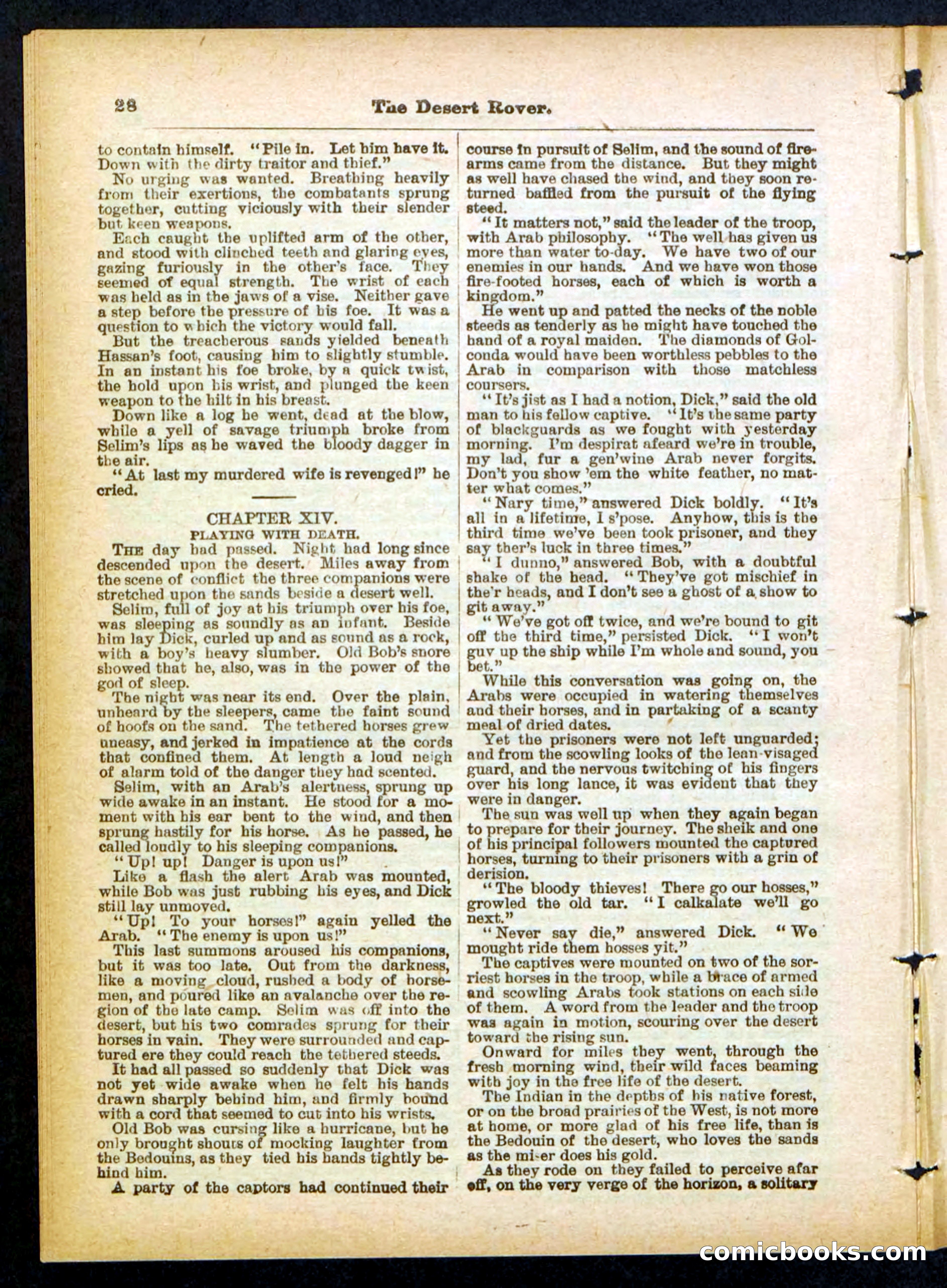 Beadle's Pocket Library No. 408 — page 28 of 32