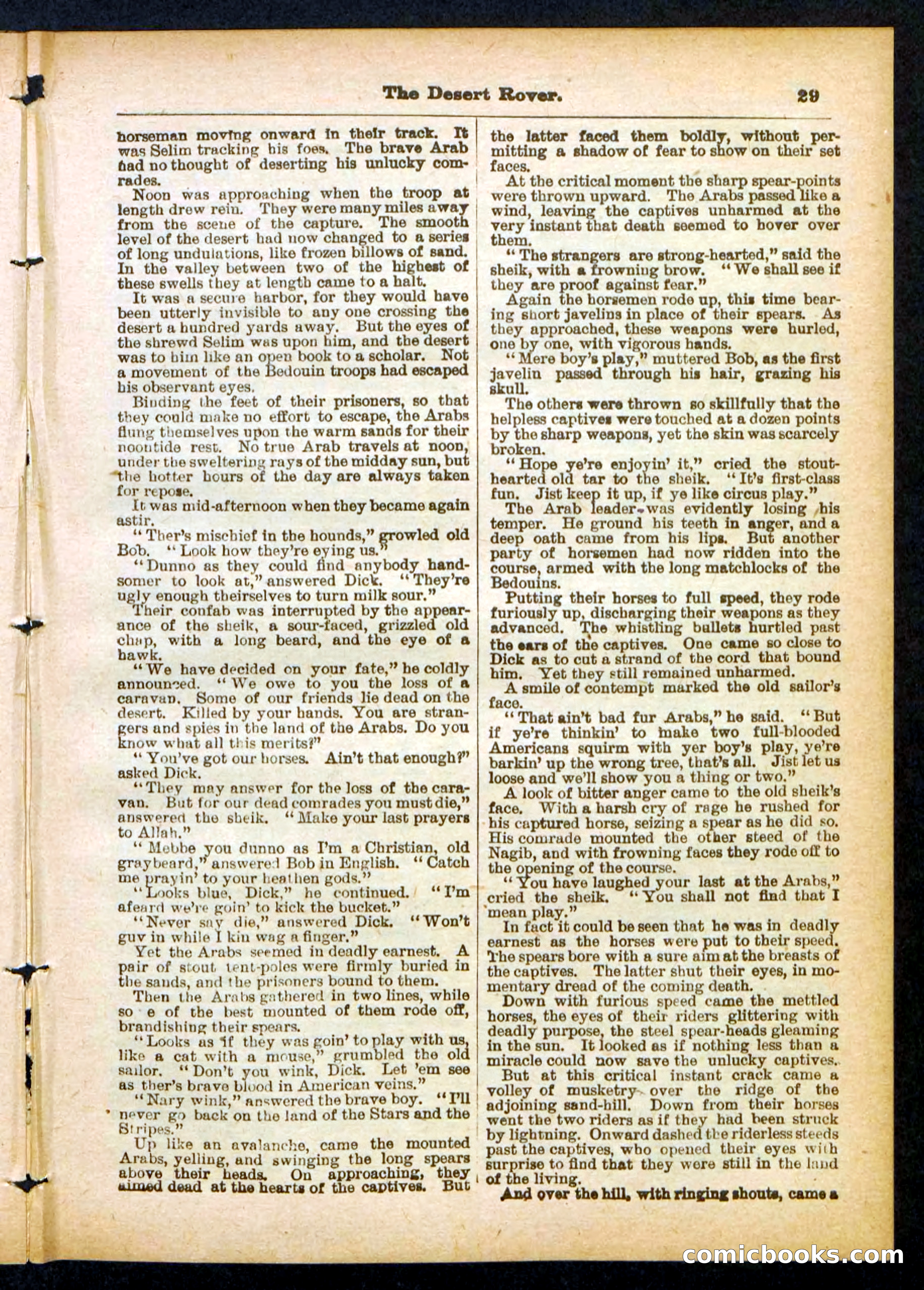 Beadle's Pocket Library No. 408 — page 29 of 32