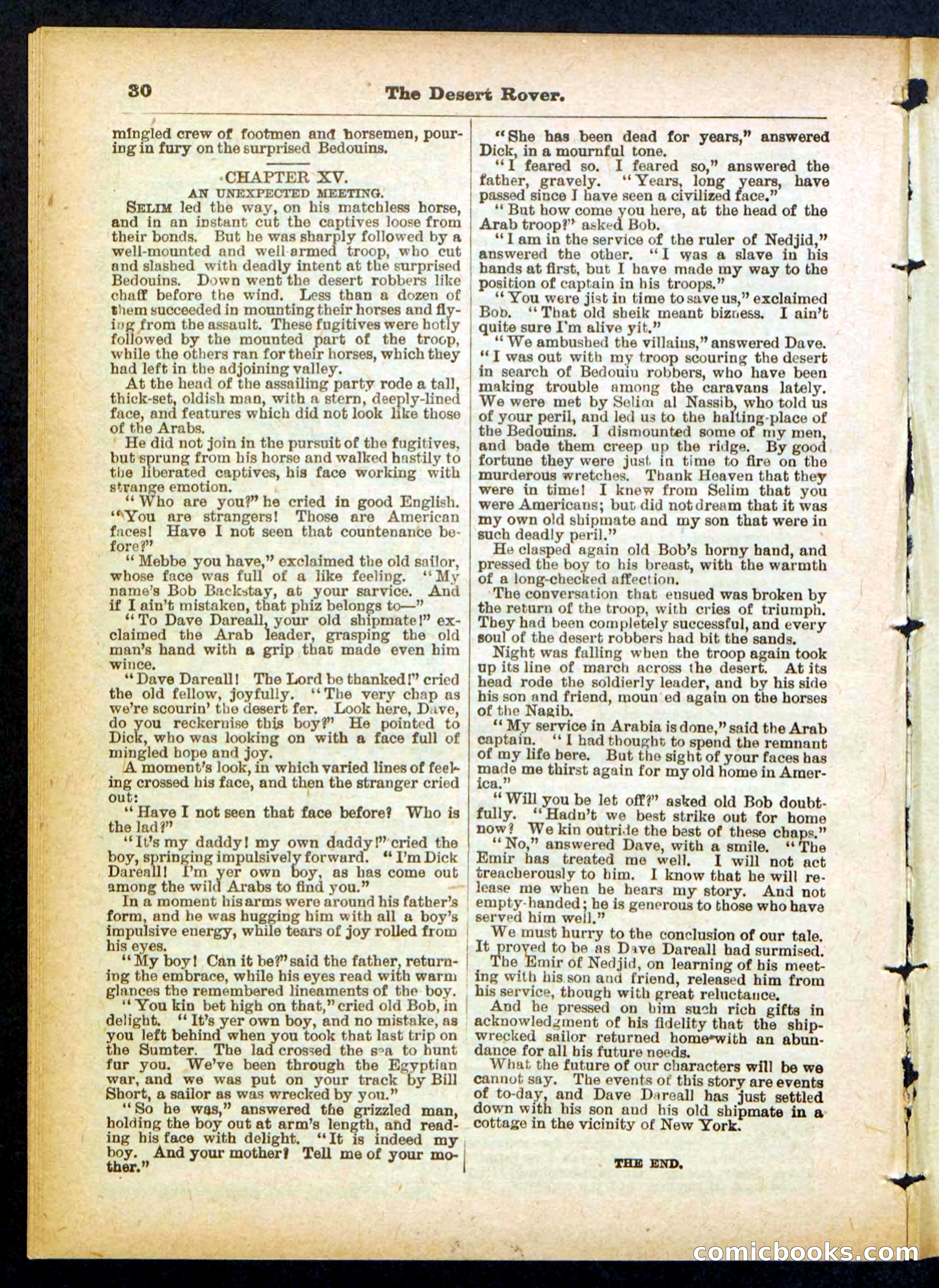 Beadle's Pocket Library No. 408 — page 30 of 32
