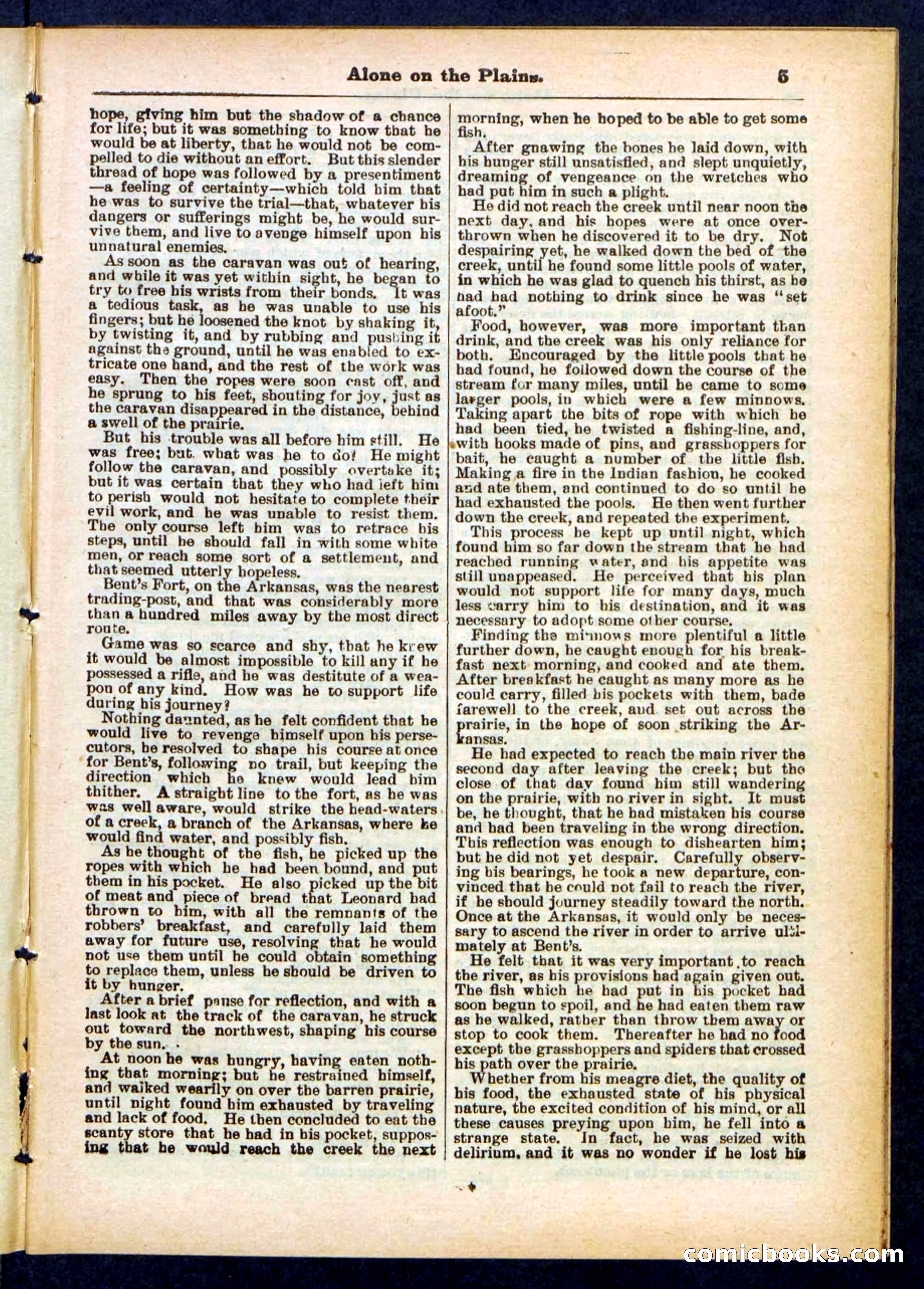 Beadle's Pocket Library No. 429 — page 5 of 32