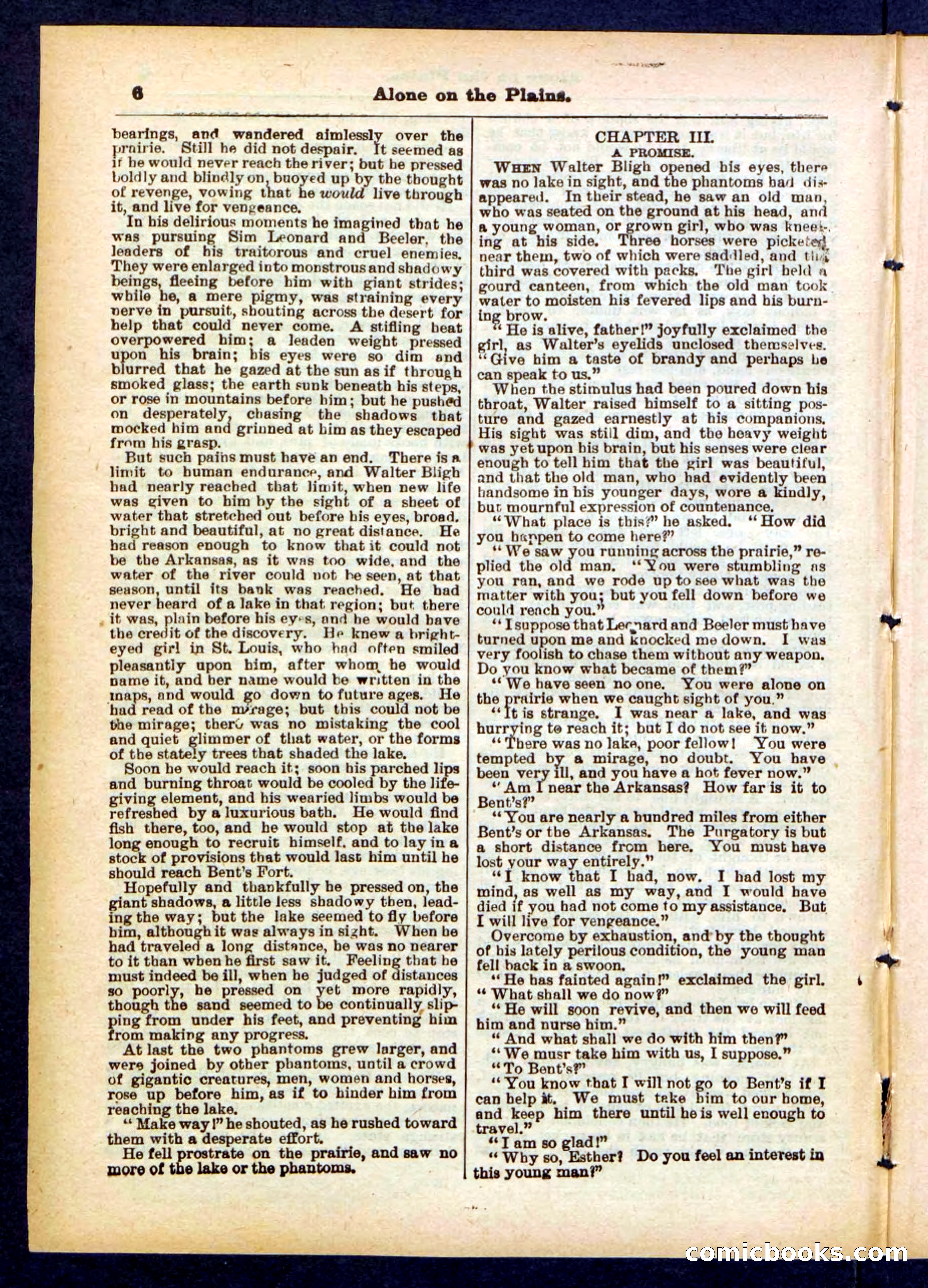 Beadle's Pocket Library No. 429 — page 6 of 32