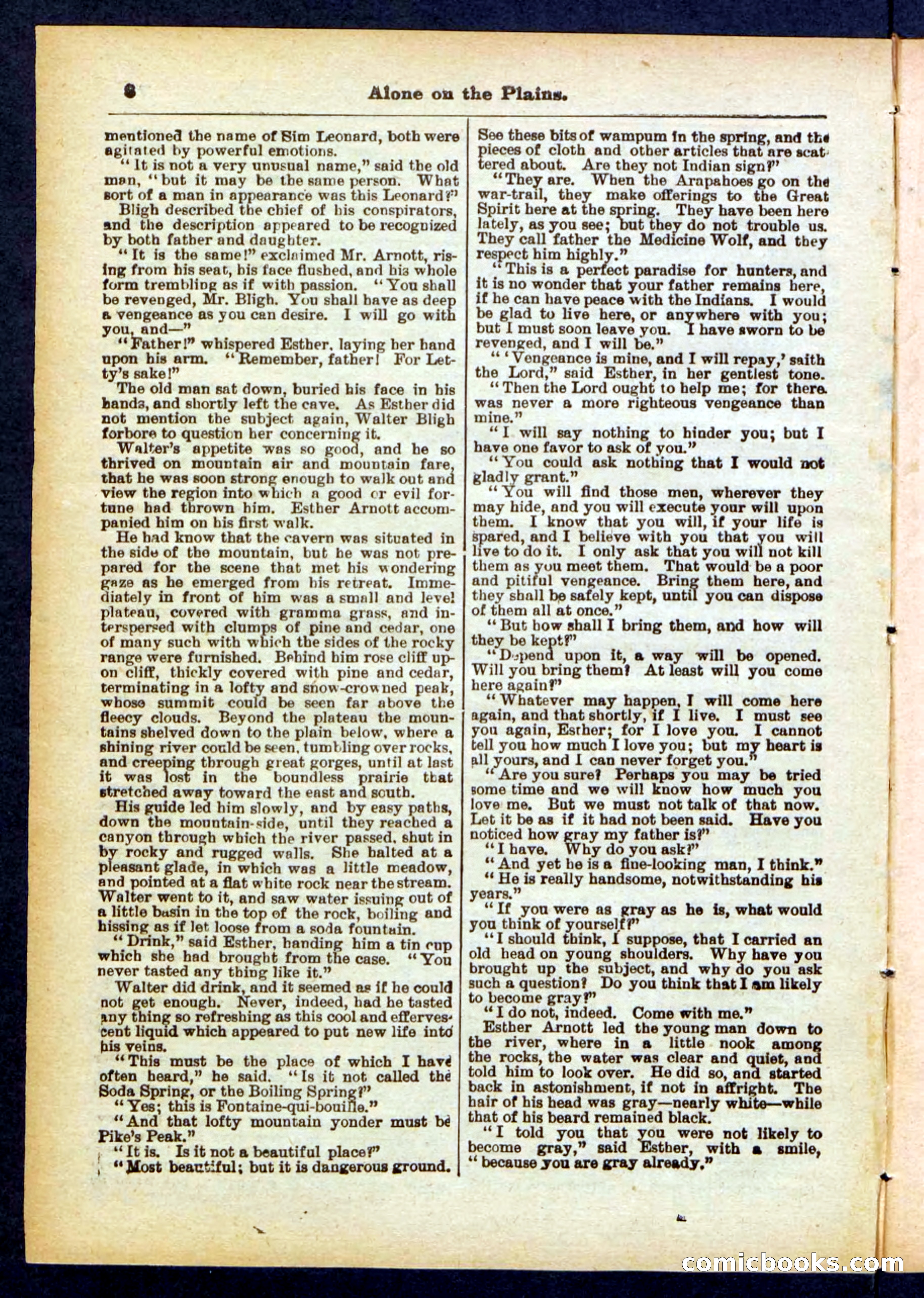 Beadle's Pocket Library No. 429 — page 8 of 32