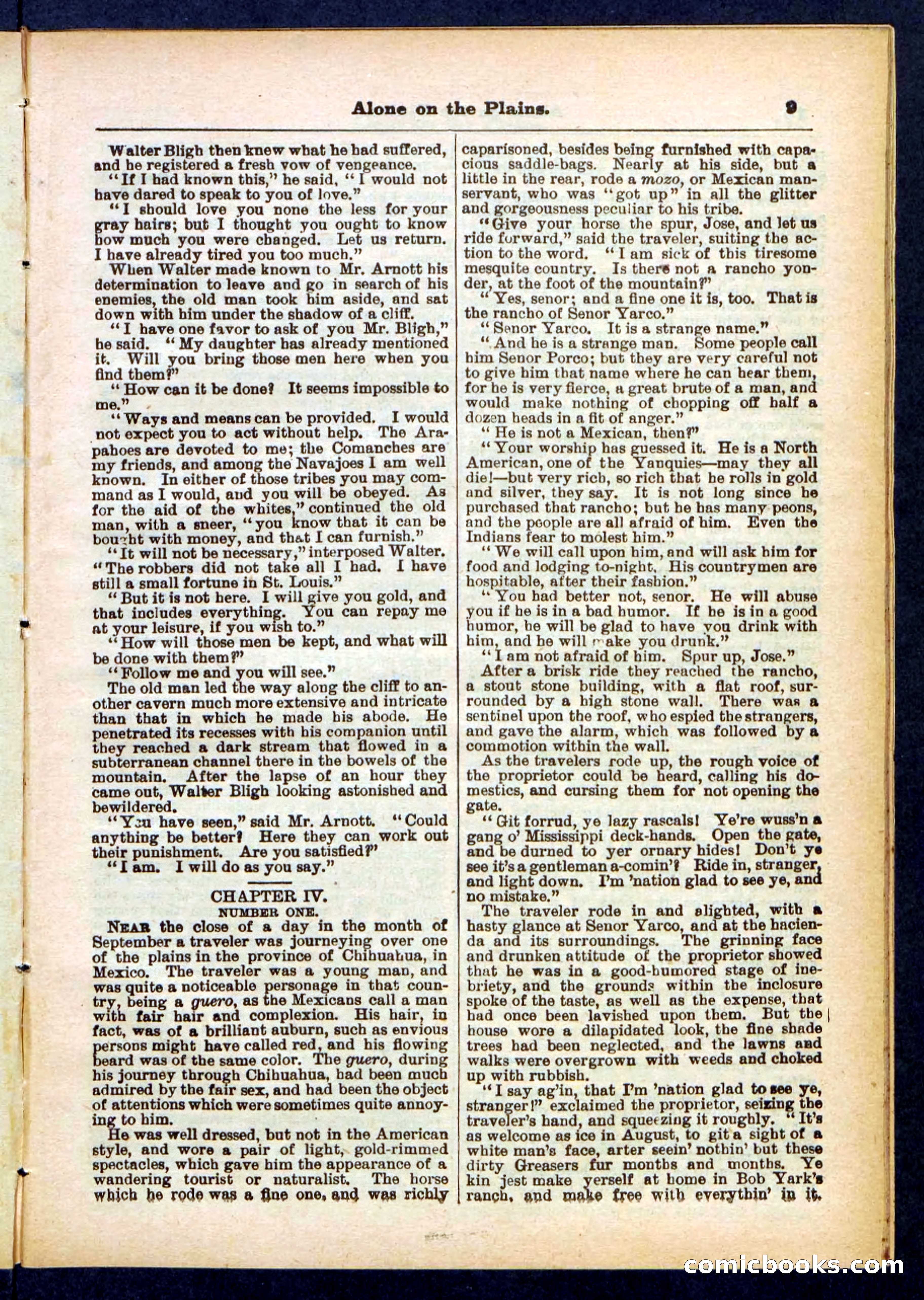 Beadle's Pocket Library No. 429 — page 9 of 32