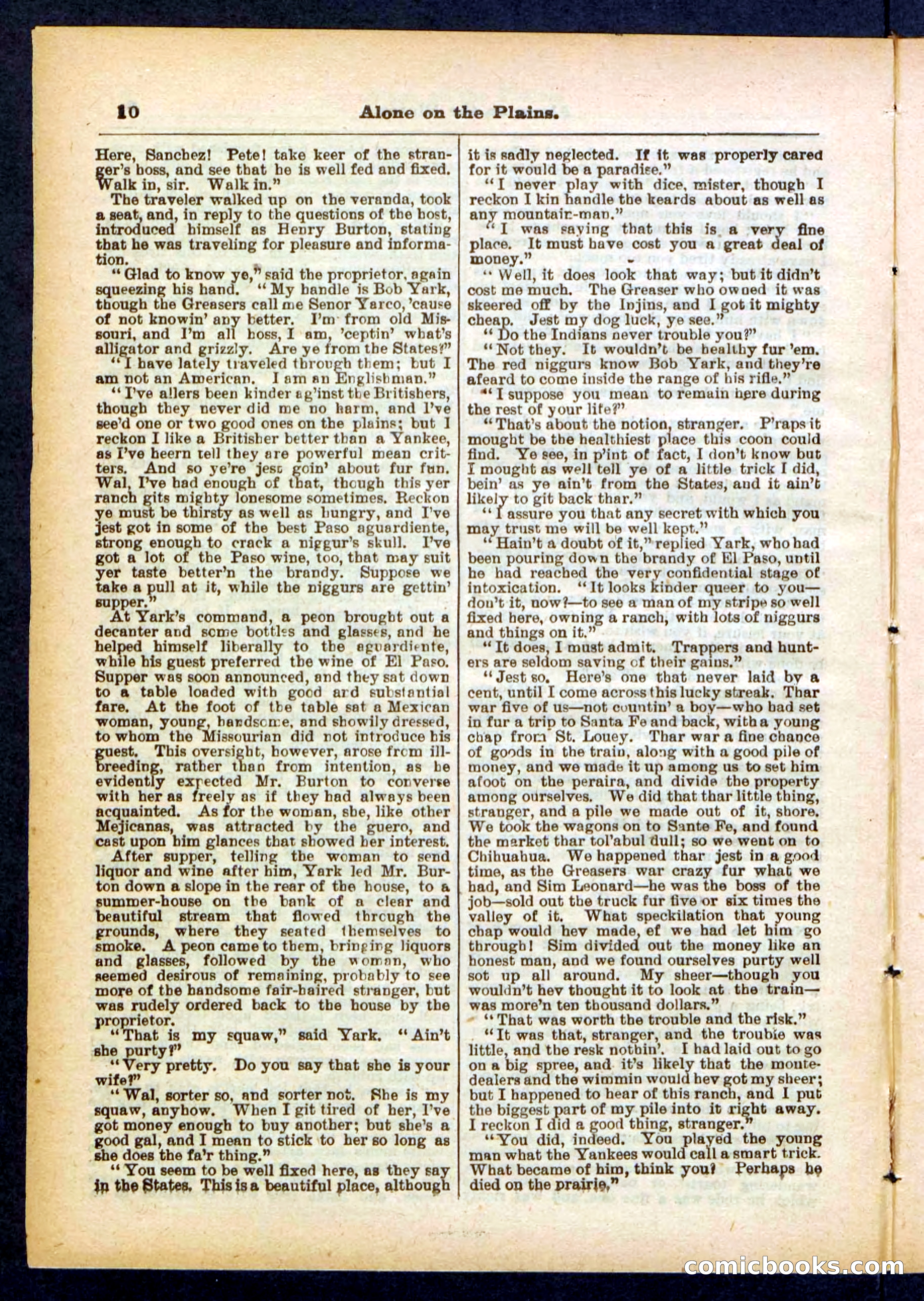 Beadle's Pocket Library No. 429 — page 10 of 32