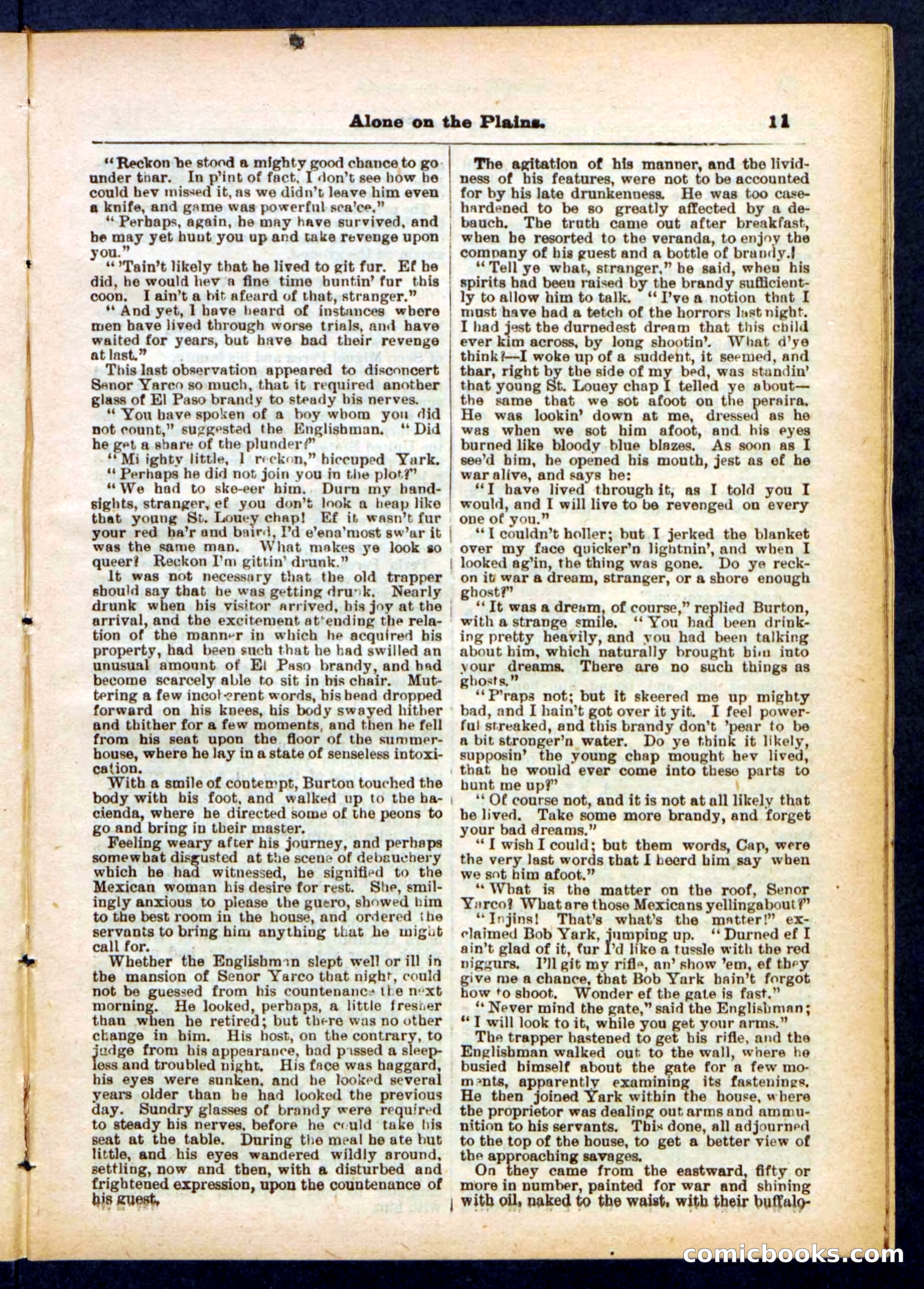 Beadle's Pocket Library No. 429 — page 11 of 32