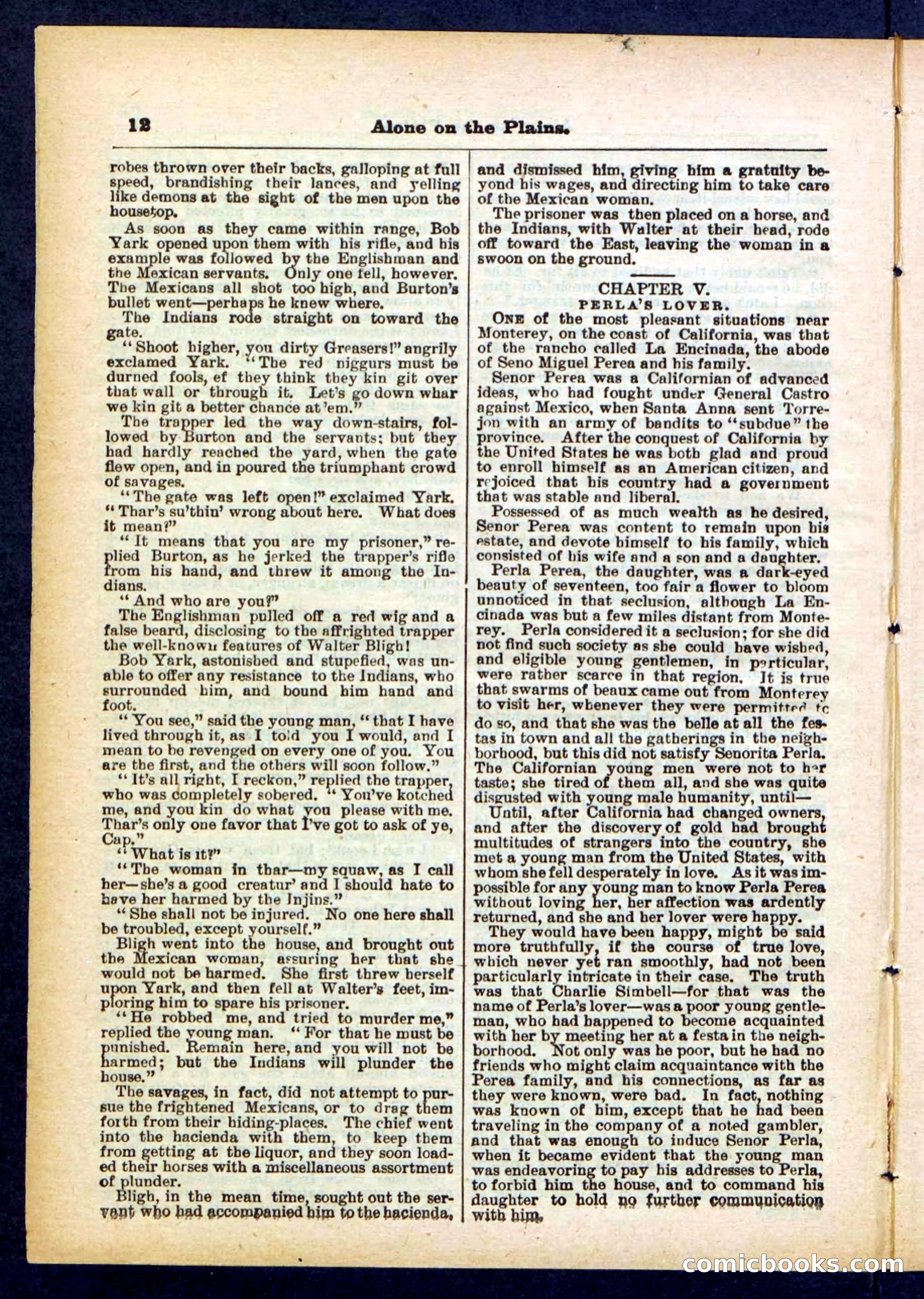 Beadle's Pocket Library No. 429 — page 12 of 32