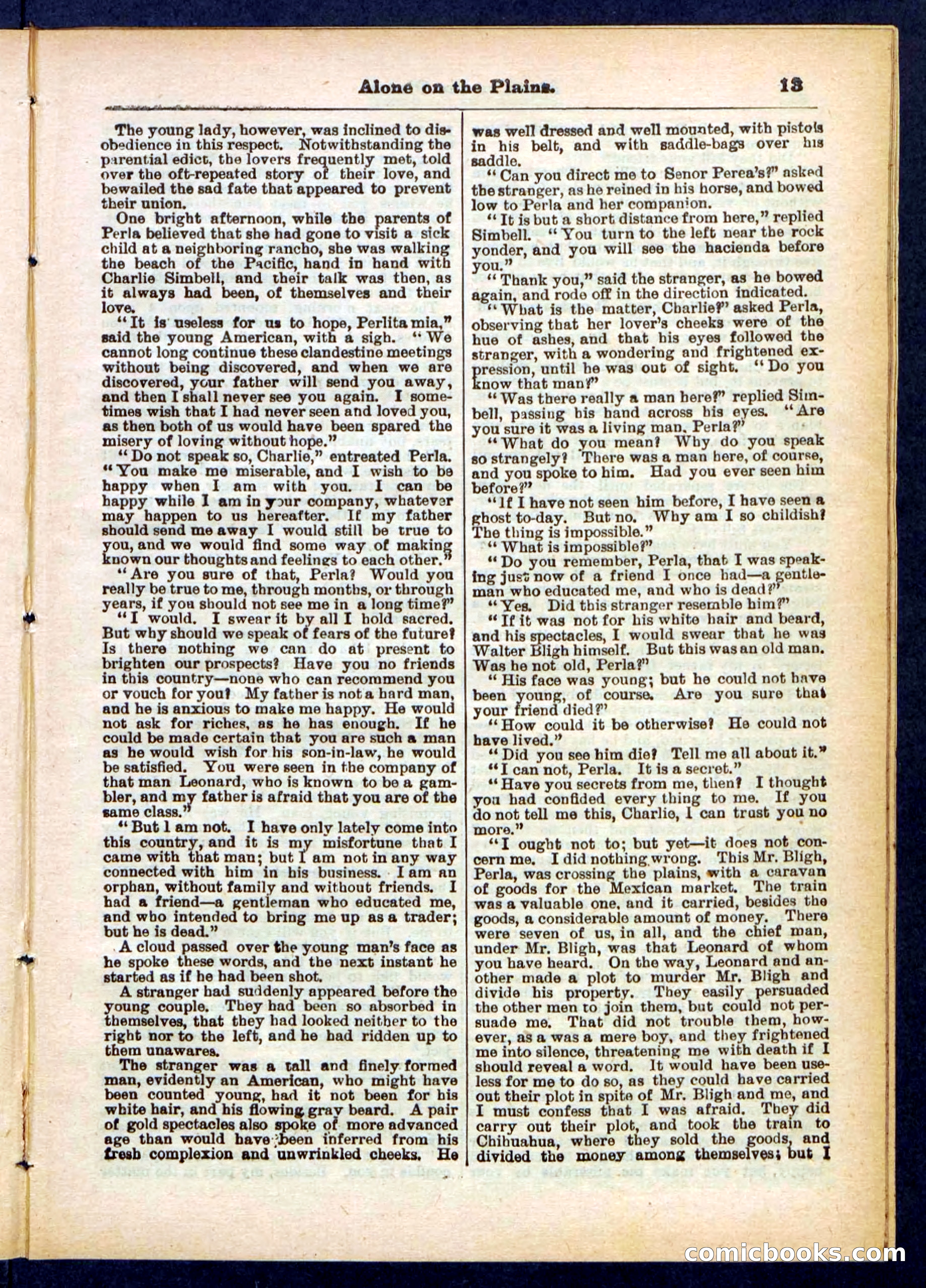 Beadle's Pocket Library No. 429 — page 13 of 32