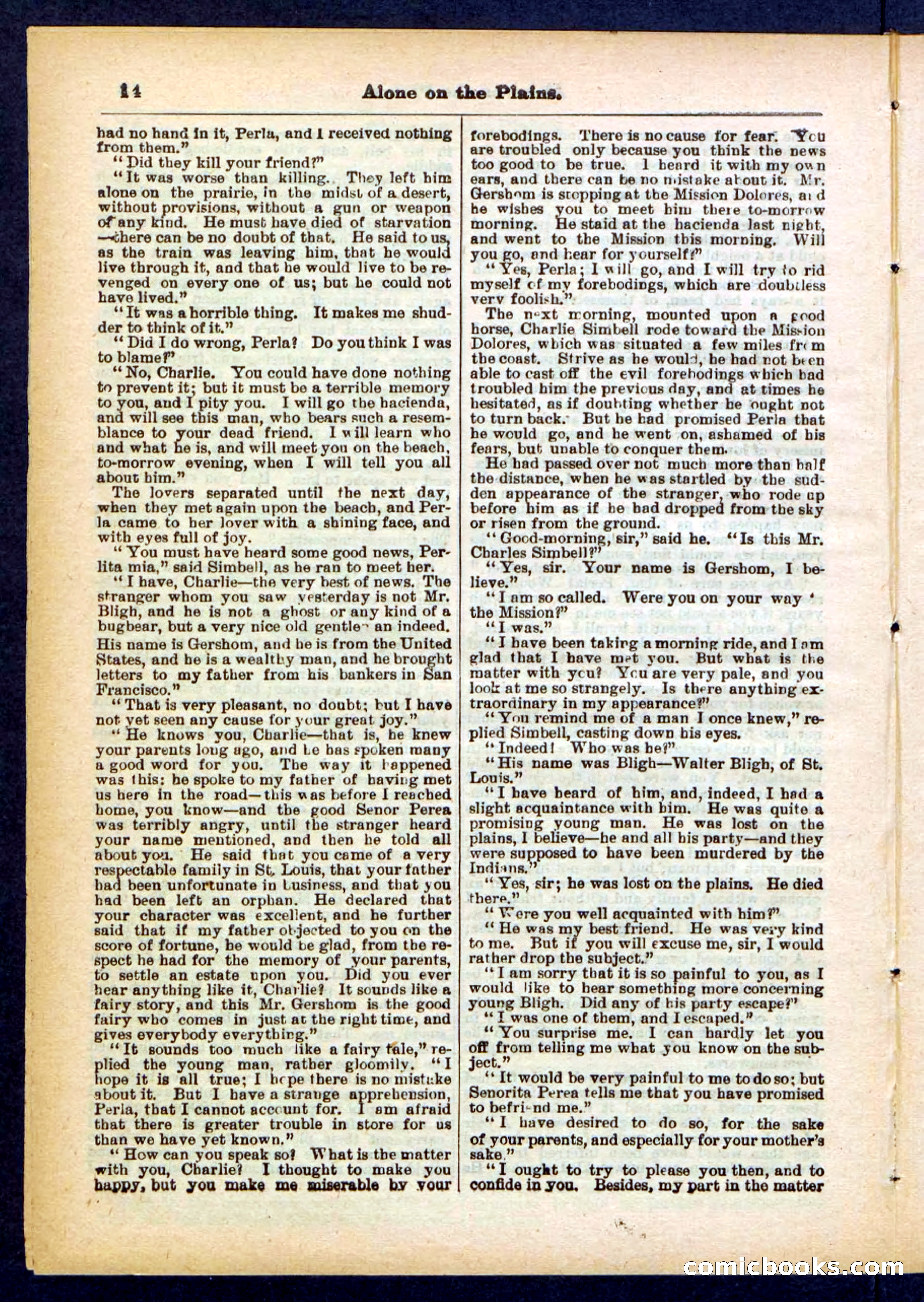 Beadle's Pocket Library No. 429 — page 14 of 32