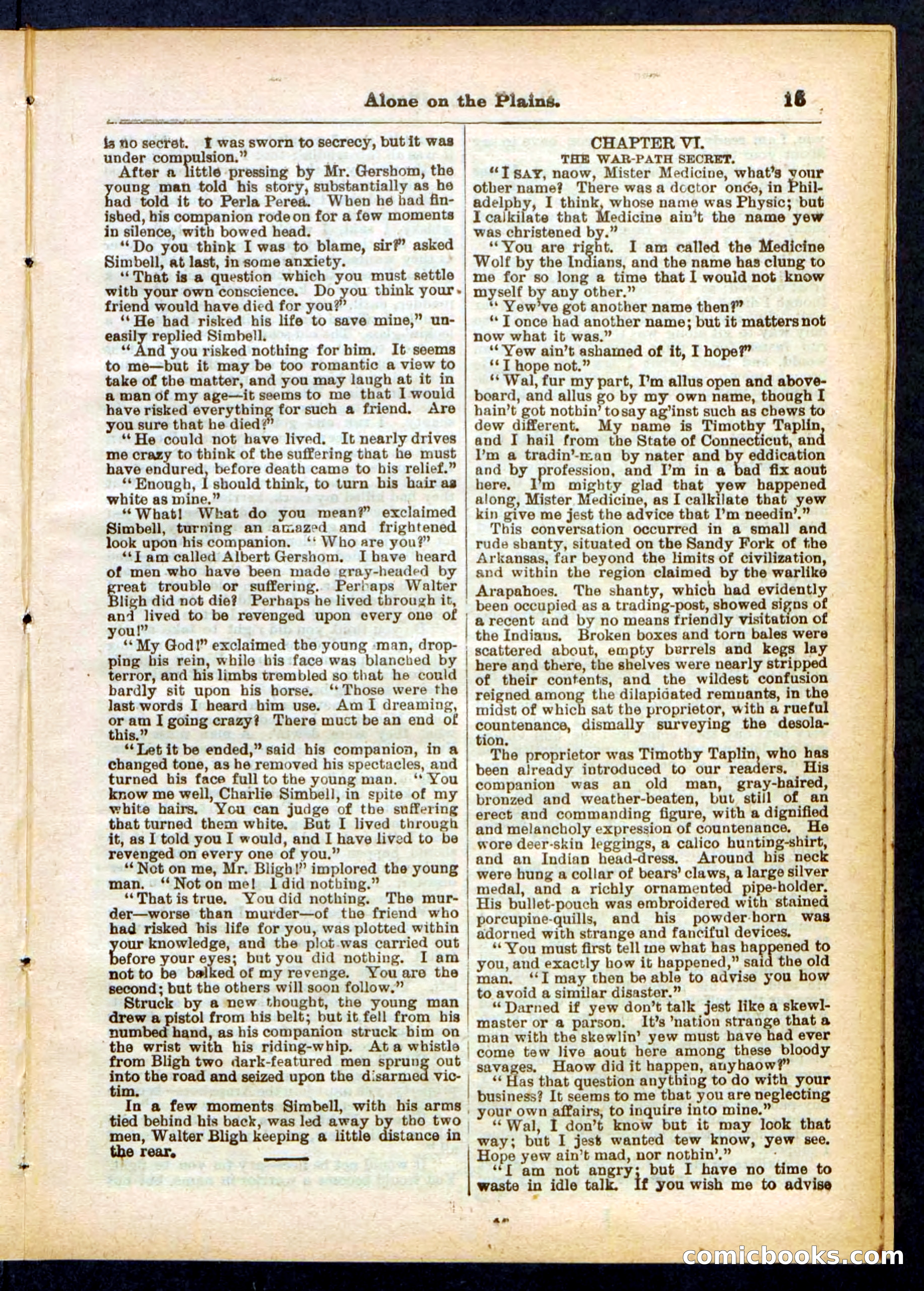 Beadle's Pocket Library No. 429 — page 15 of 32