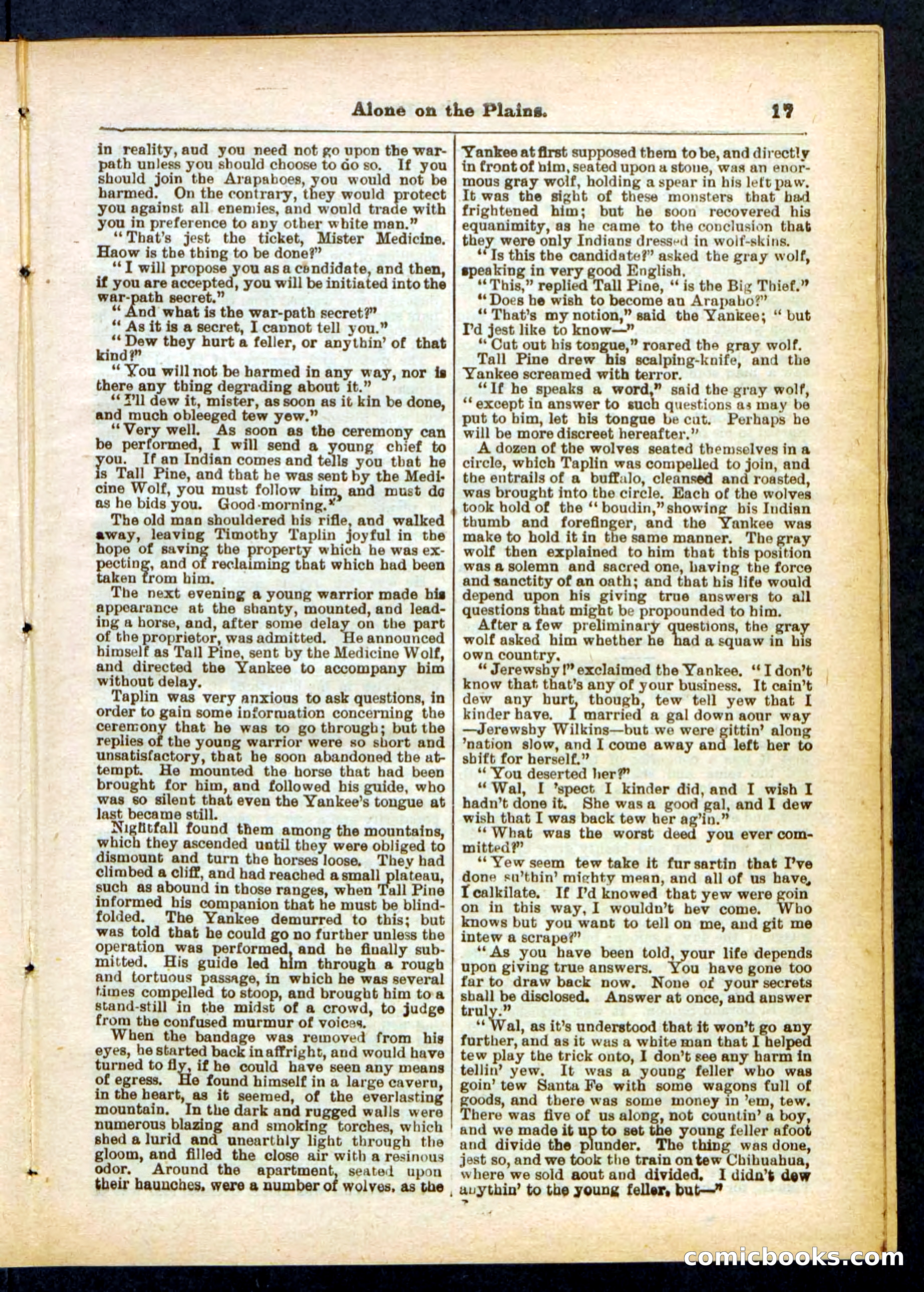 Beadle's Pocket Library No. 429 — page 17 of 32