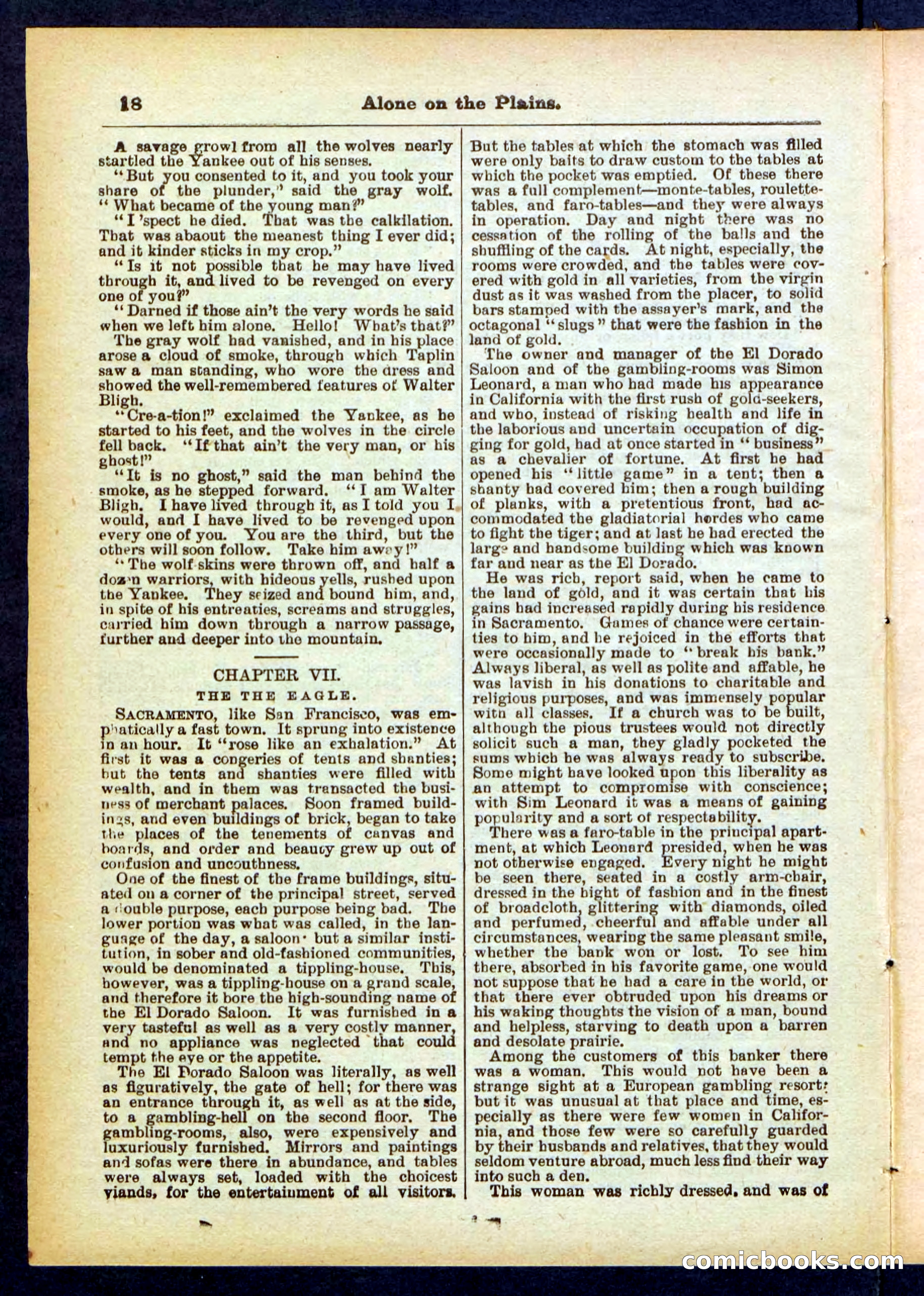 Beadle's Pocket Library No. 429 — page 18 of 32